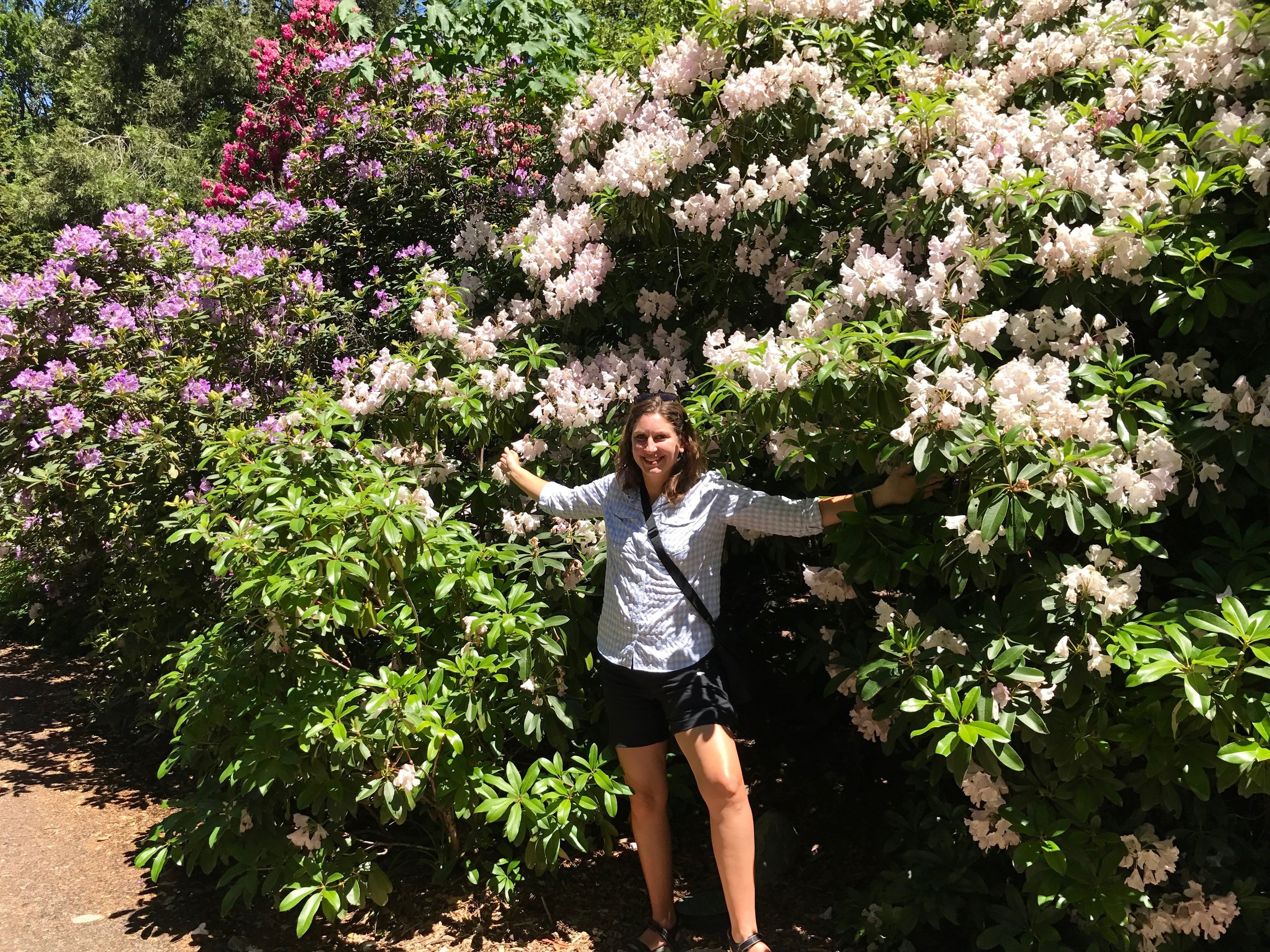 Teressa in Lithia Park's giant rhododendrons