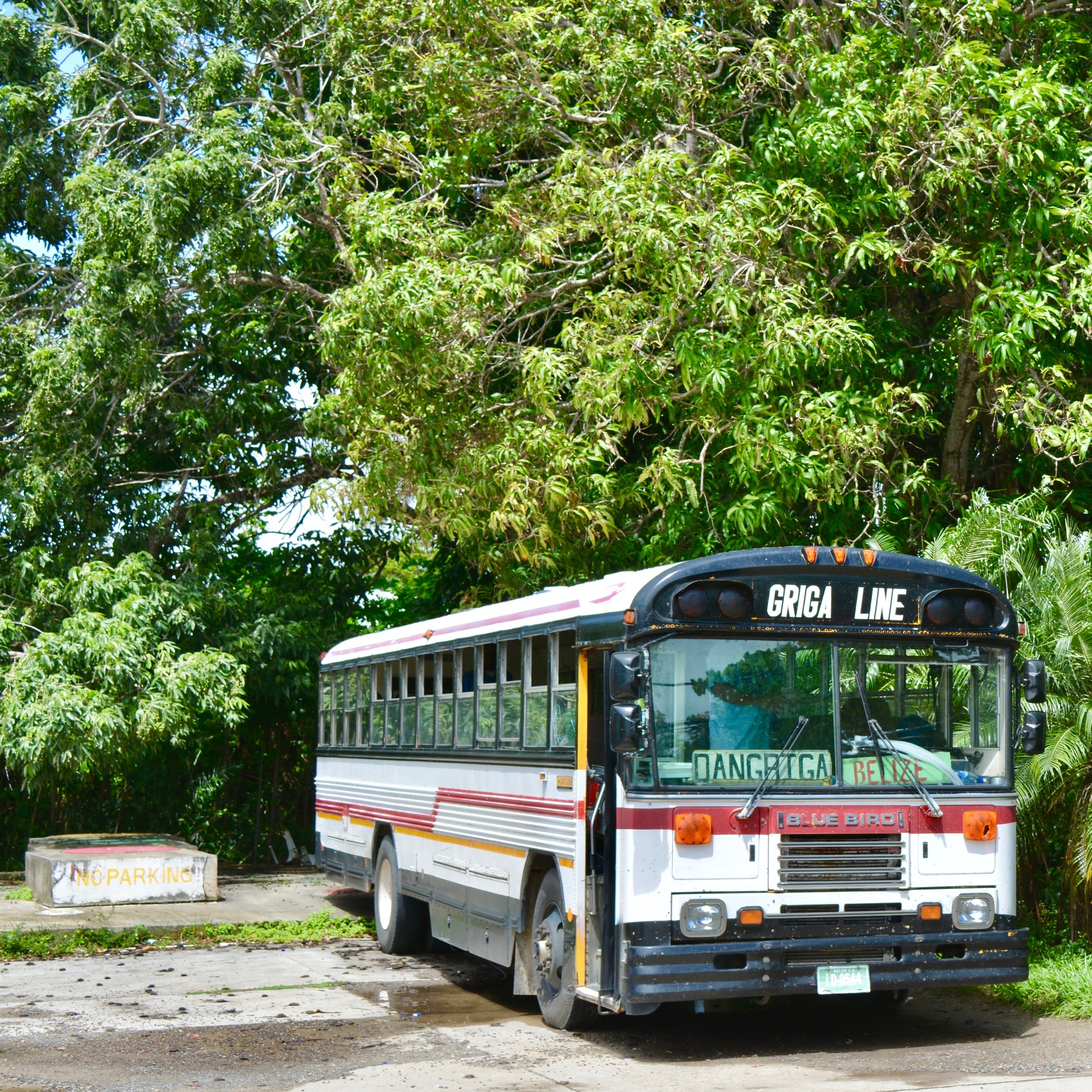 Not "the" bus we were on, but one like it.