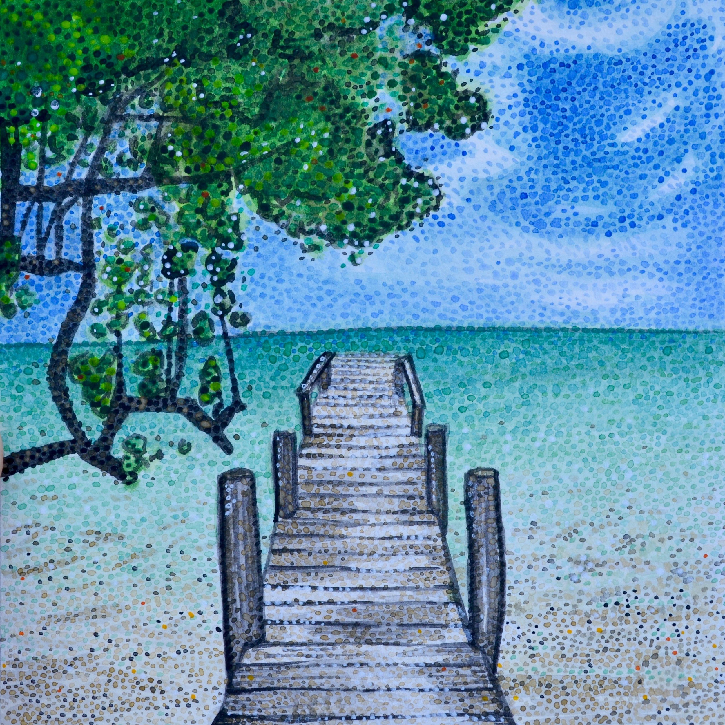 False Sittee Point, Belize: 6/30/17, 16:01:29