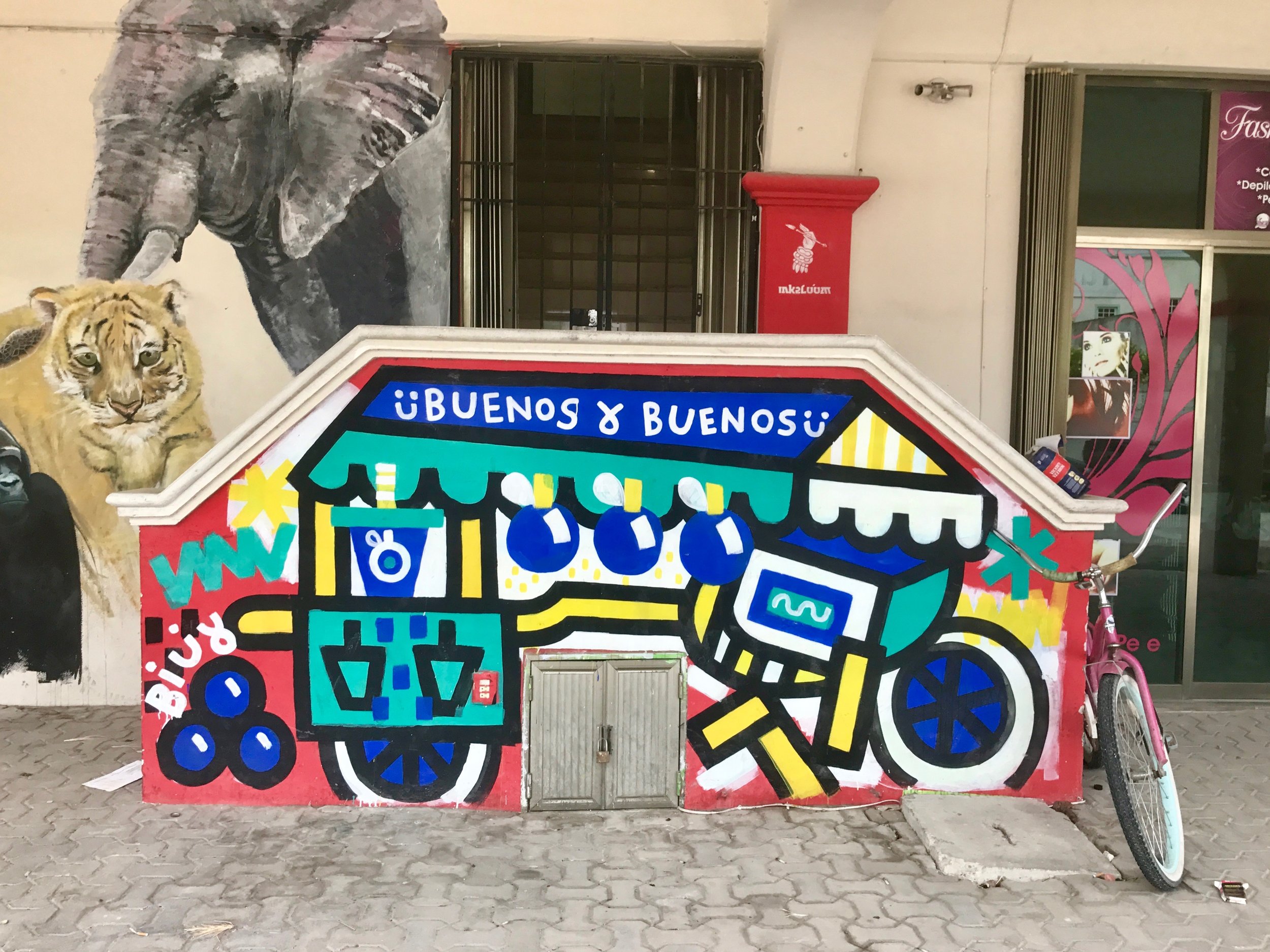 Just one of the many murals in Tulum