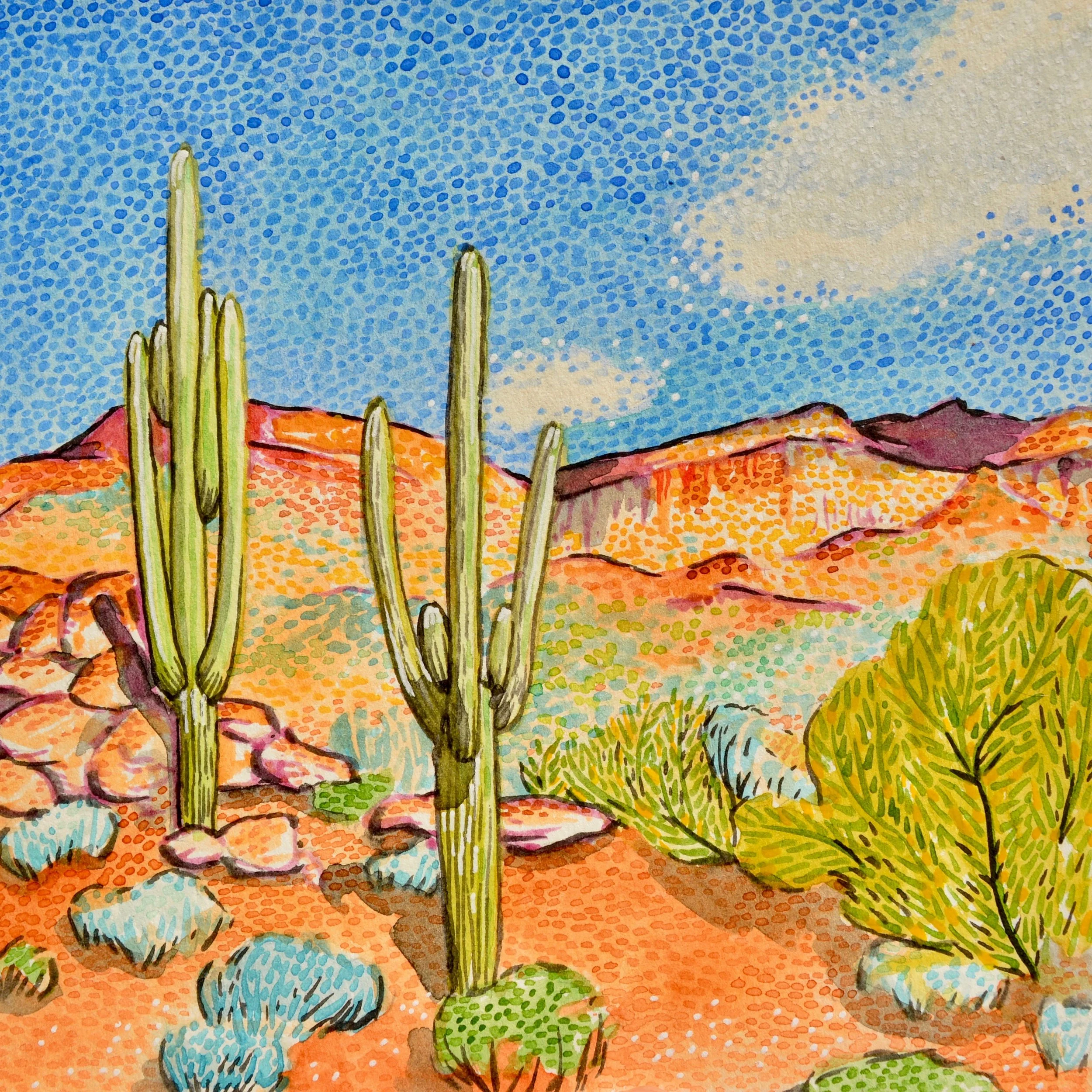 Organ Pipe Cactus National Monument, Arizona: 1/24/17, 16:33:51