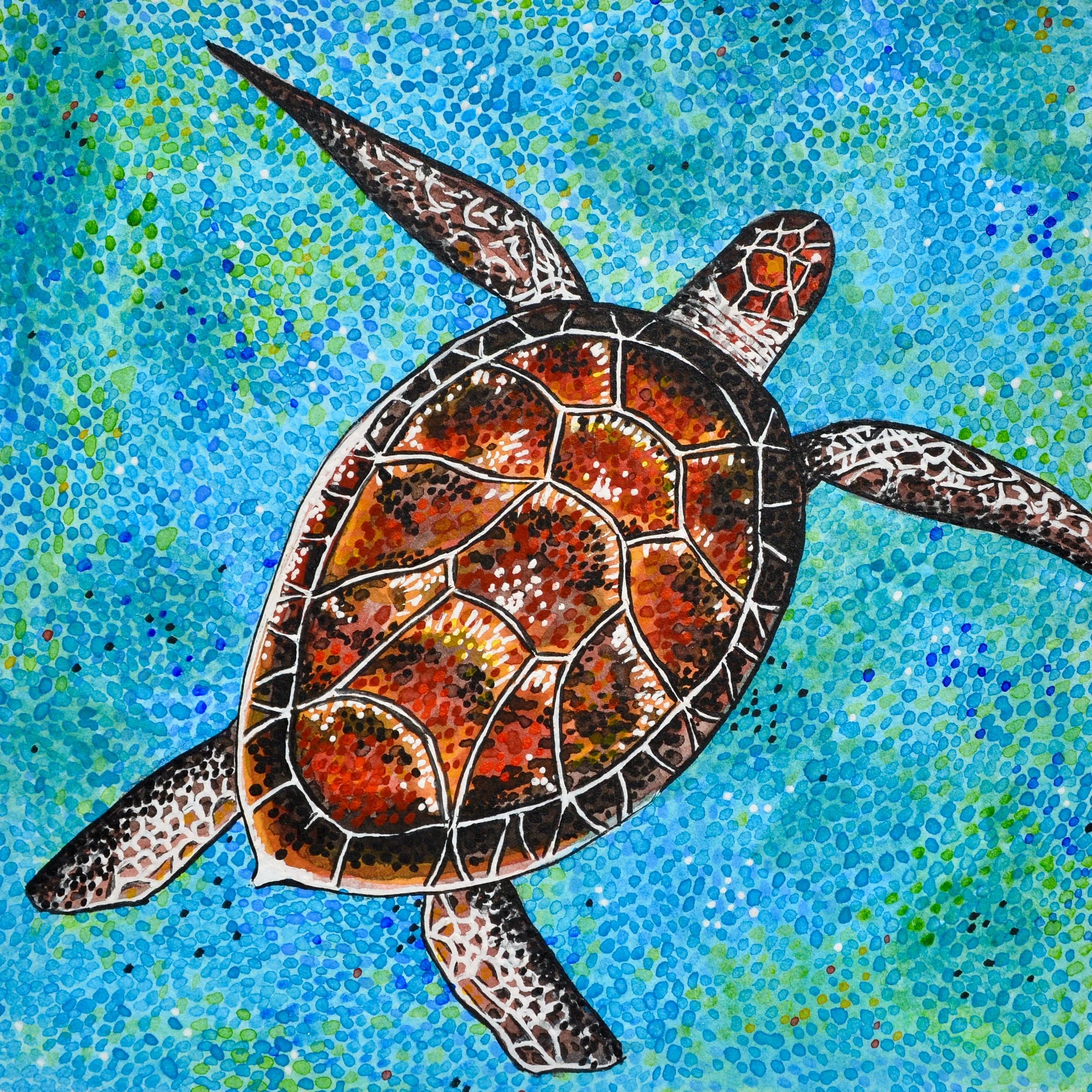 Case's Sea Turtle