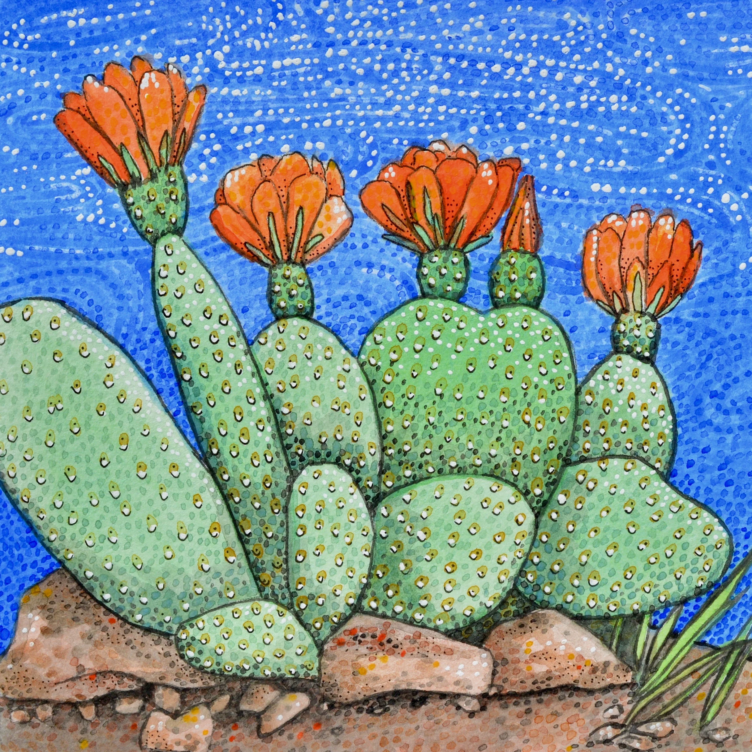 Beaver Tail Prickly Pear