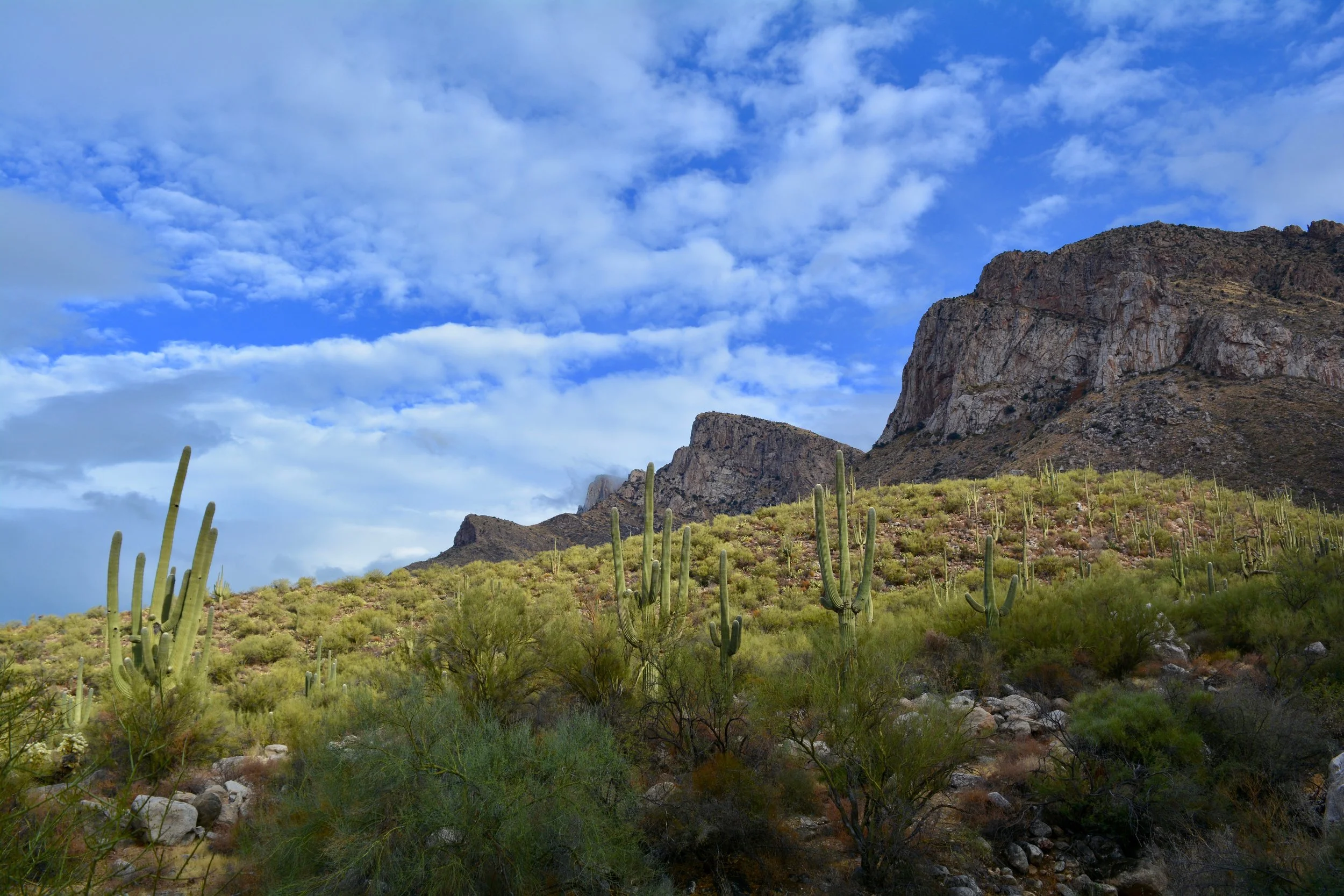 DSC_9565.jpg