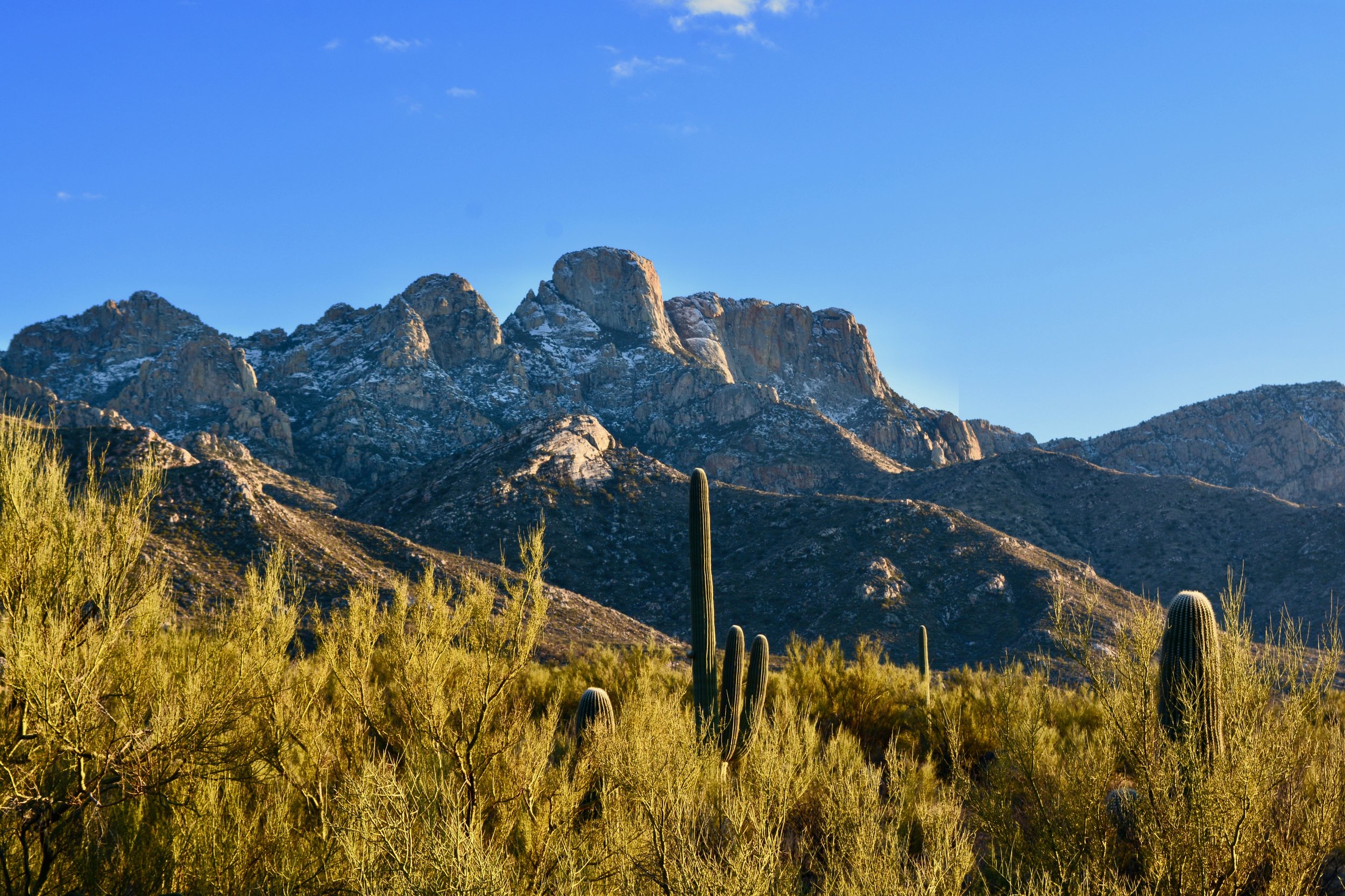 The snowy Catalina Mountains, February 28, 2018