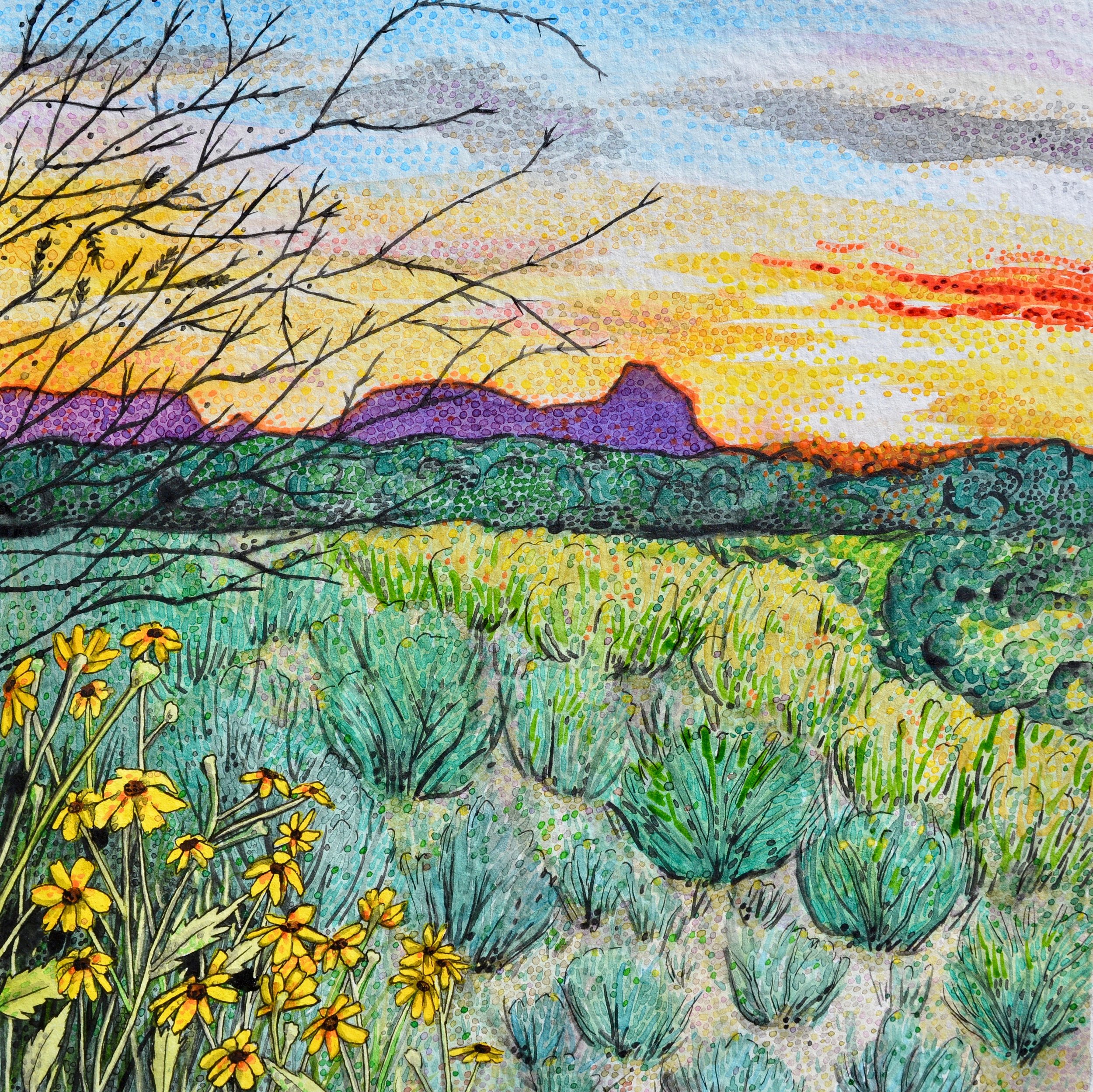 Casas Adobes, Arizona: 3/19/18, 18:34:44