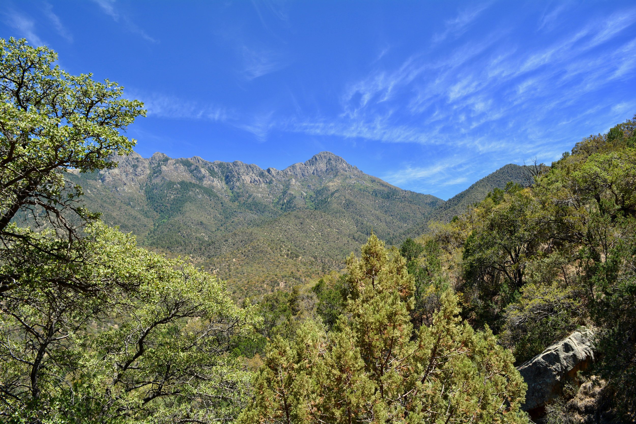 View from the trail at Madera Canyon