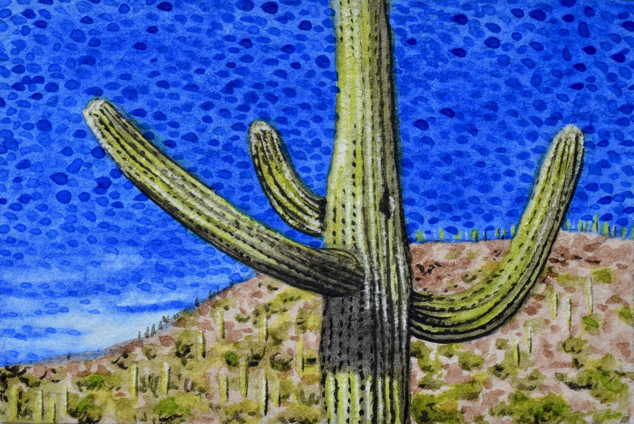 Tucson, Arizona: 12/24/17, 15:21:20