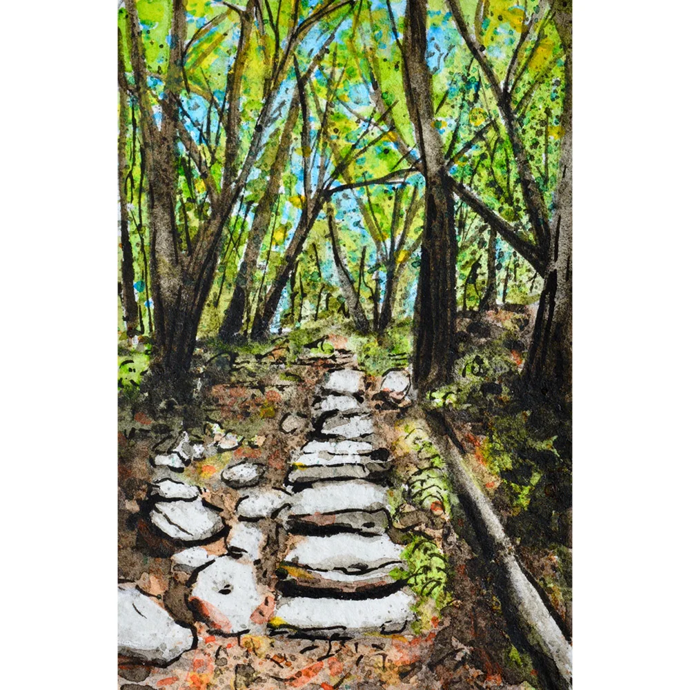Madera Canyon, Arizona: 5/10/18, 12:48:27