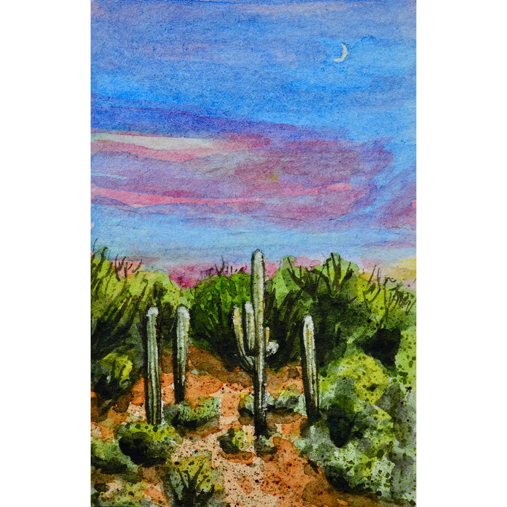 Tucson, Arizona: 8/17/18, 19:14:22