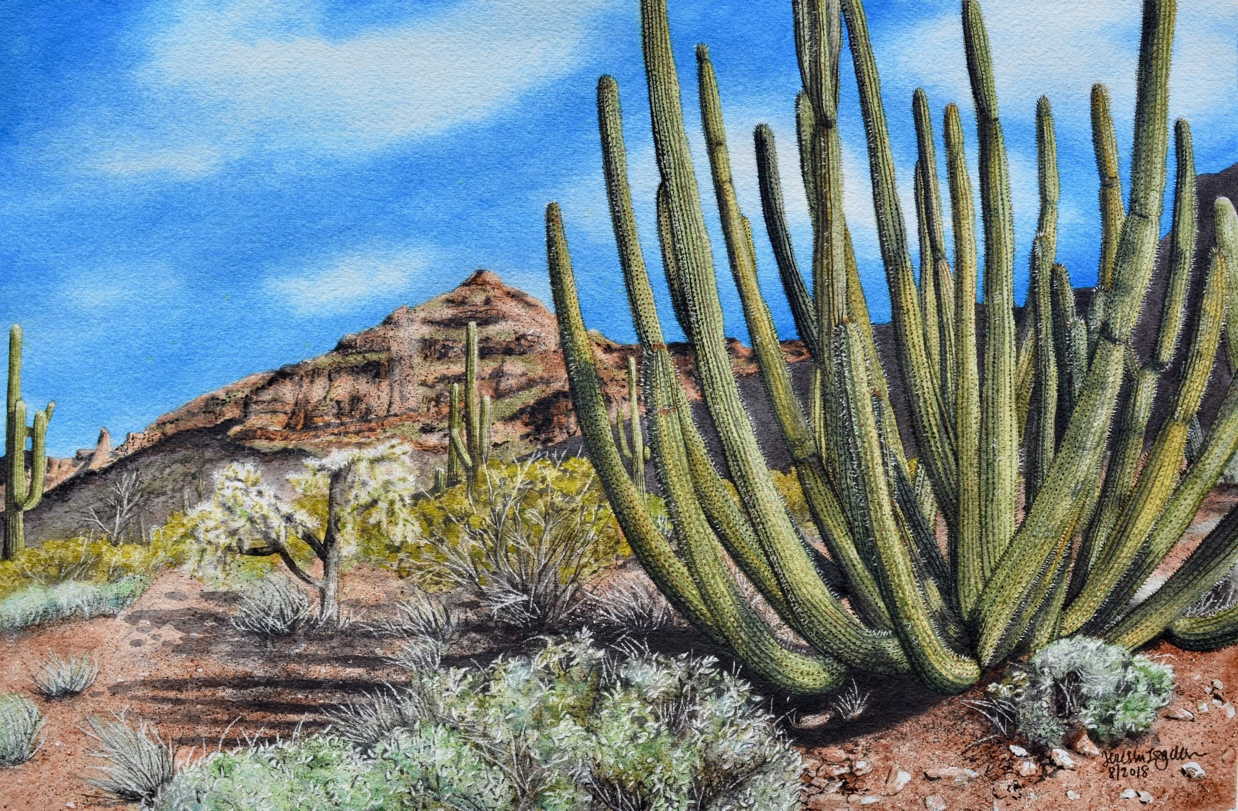 "Cactus Cartel" For sale as of this blog posting