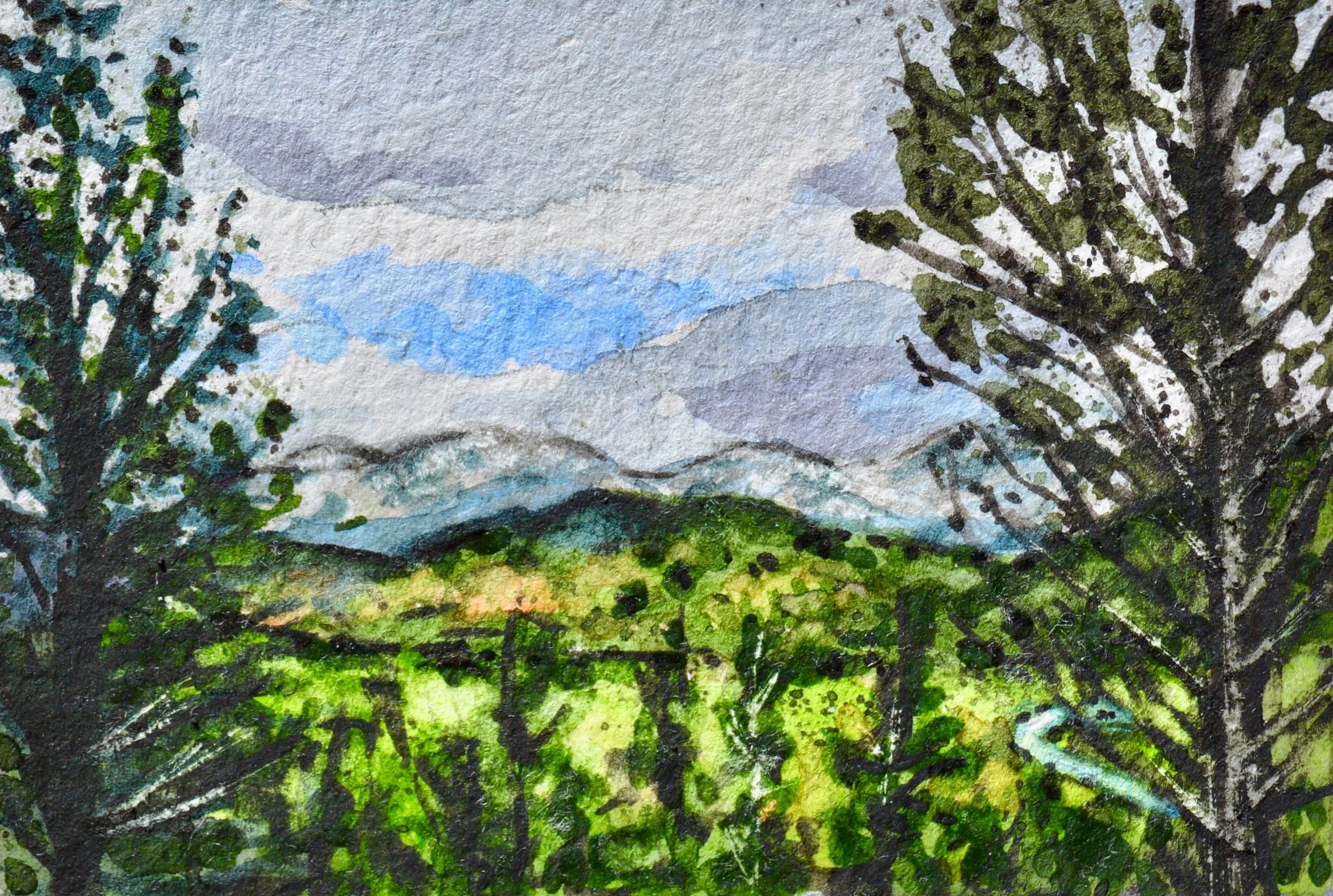 Rocky Mountain National Park, Colorado: 5/27/18, 17:29:44