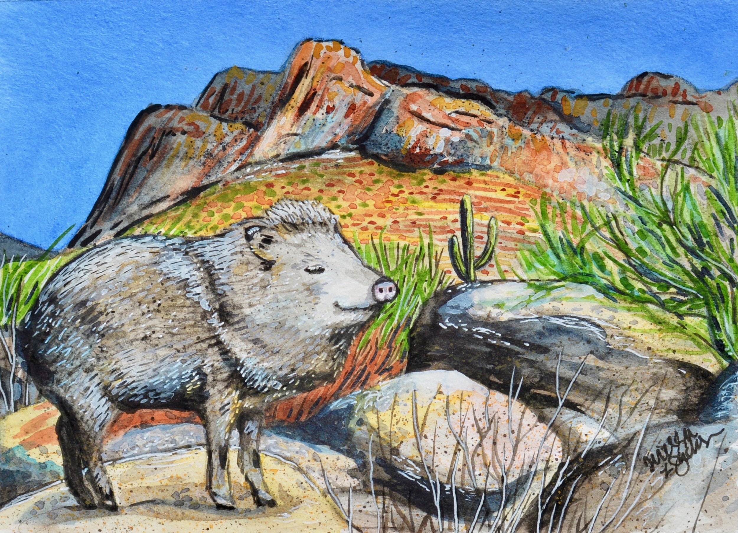 “The Joyful Javelina” SOLD