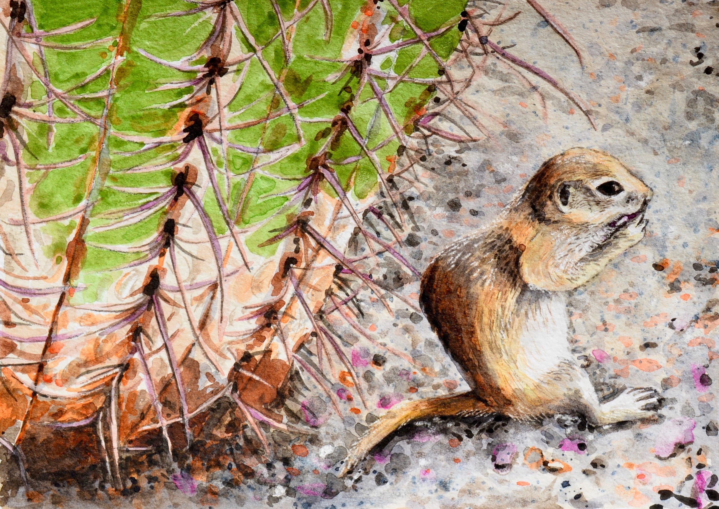 “Sonoran Shade” SOLD