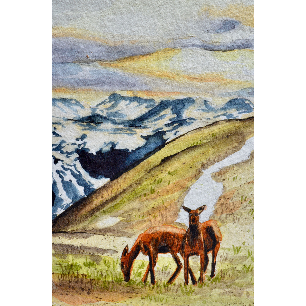 “Rocky Mountain National Park, Colorado: 5/27/18, 19:02:12” SOLD