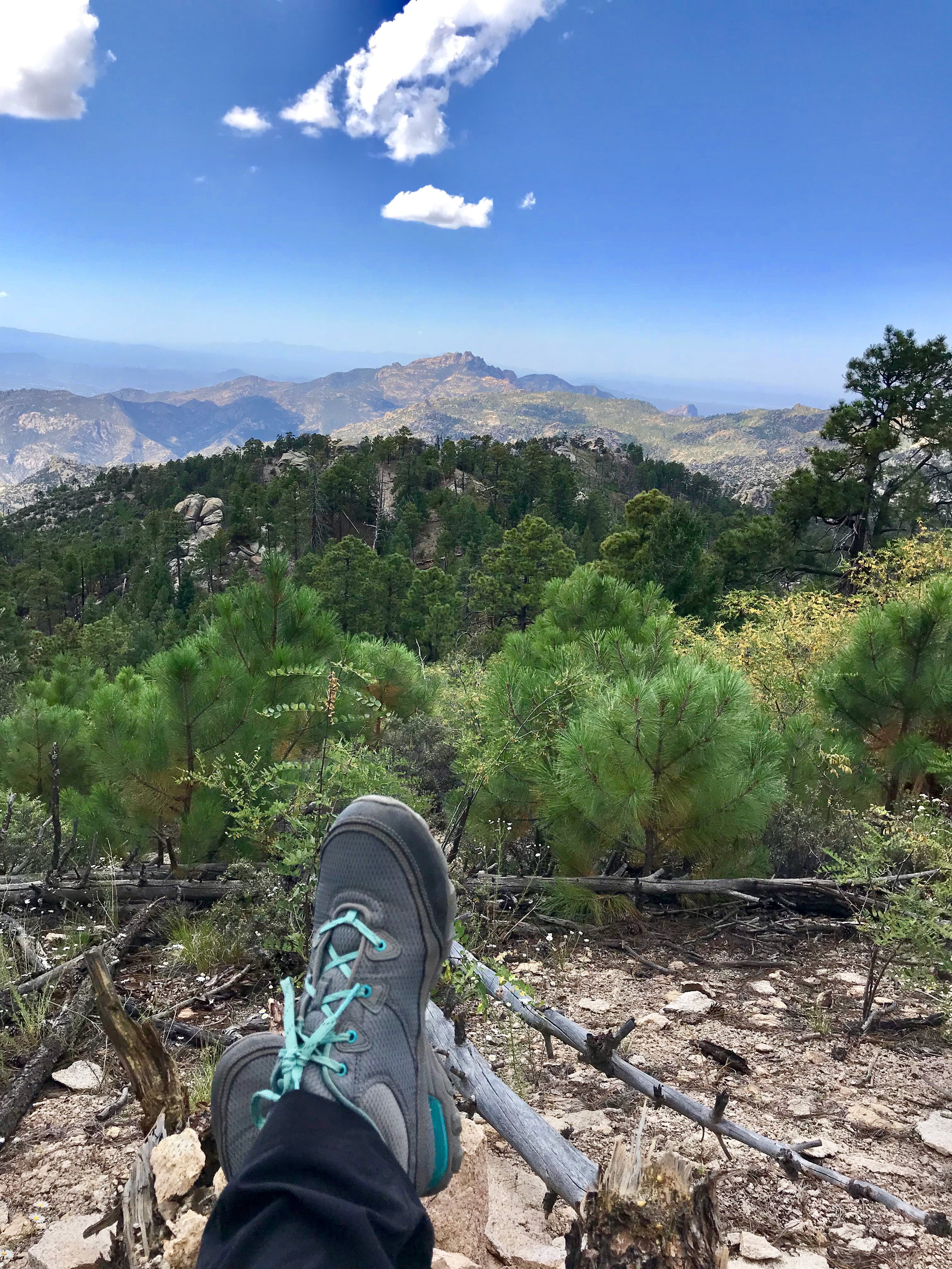 Taking a break on top of Mt. Lemmon