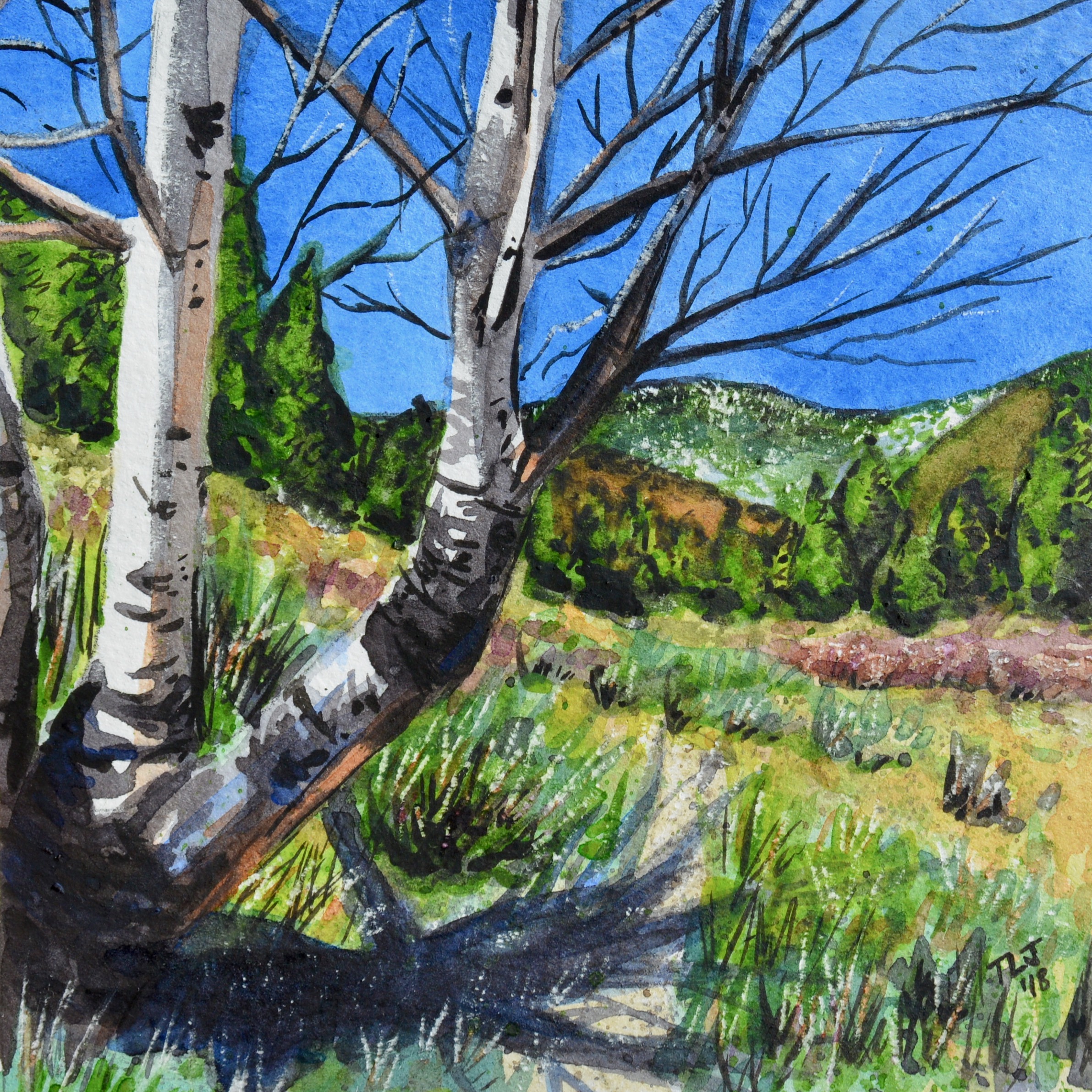 Great Basin National Park, Nevada: 5/3/17, 10:45:29 For sale as of this blog posting