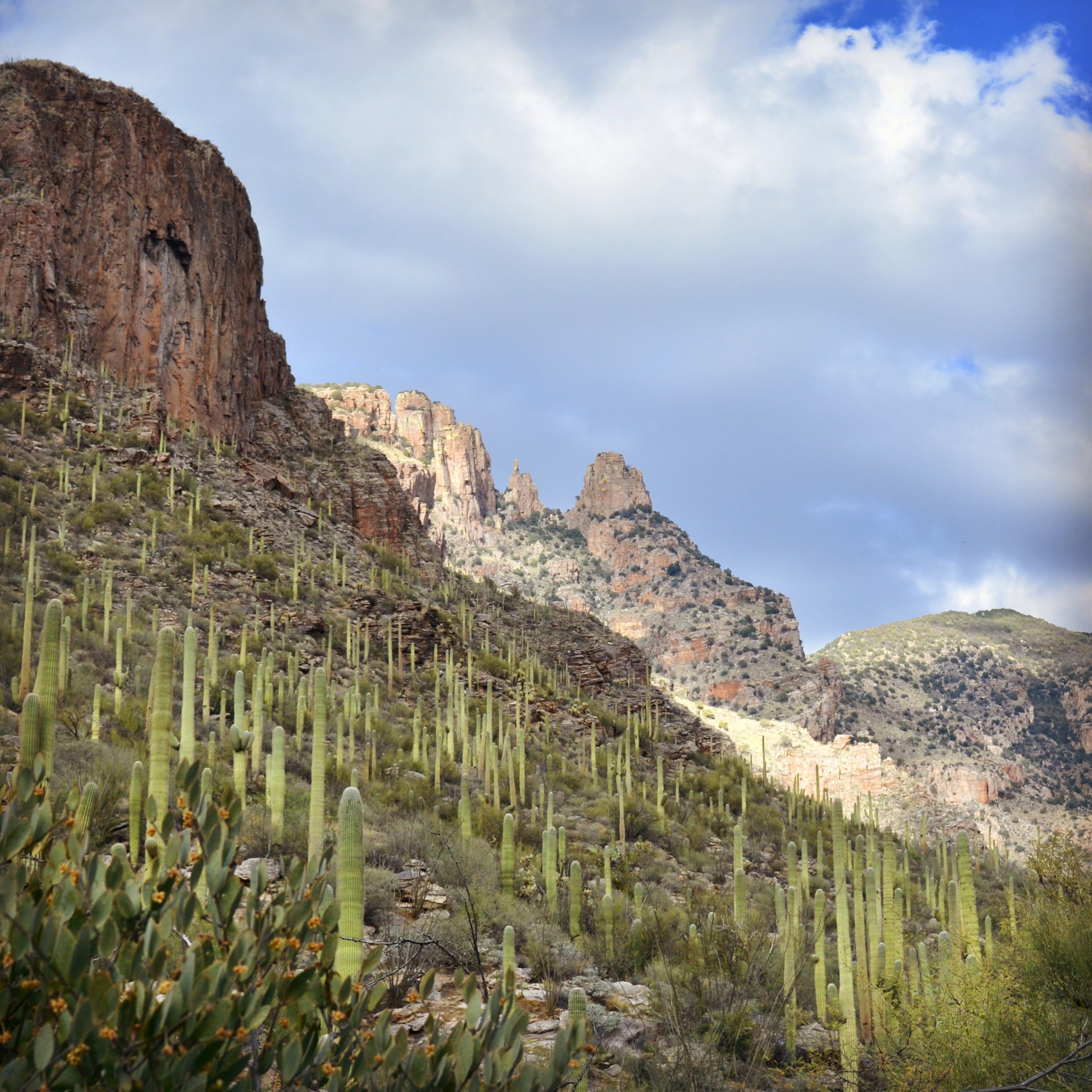 The scenery on the Finger Rock Trail