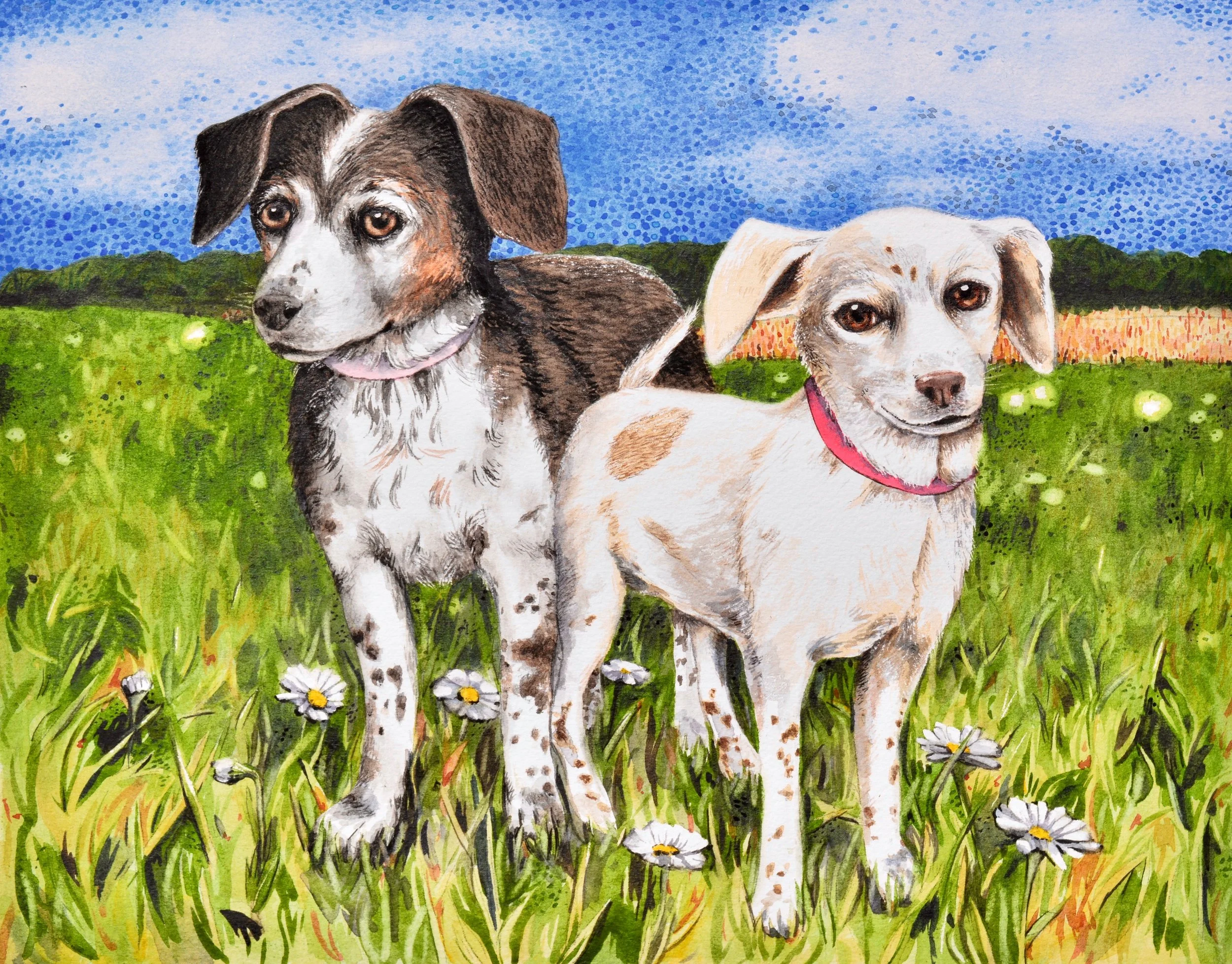 Maggie May and Ginger Afield
