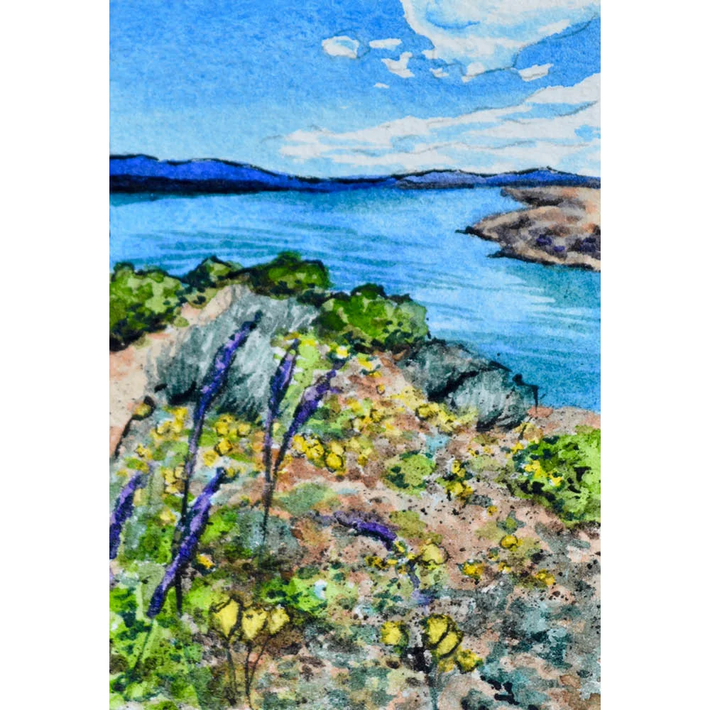 Cattail Cove State Park, Arizona: 3/2/19, 15:44:23
