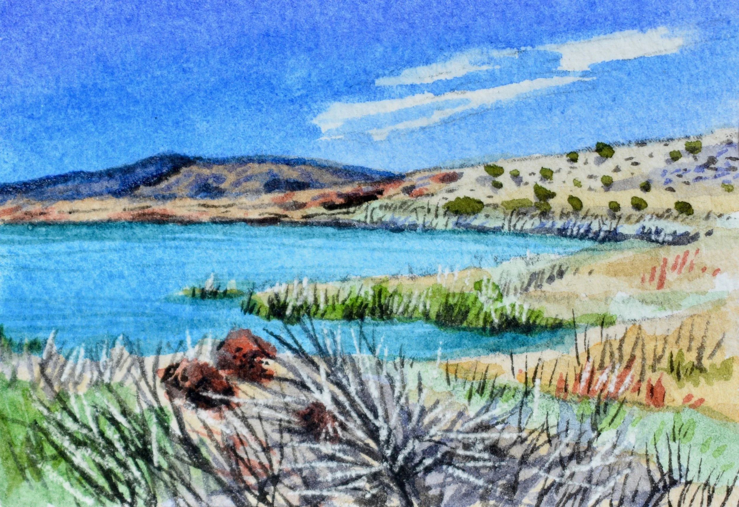 Havasu National Wildlife Refuge, Arizona: 3/3/19, 12:26:27