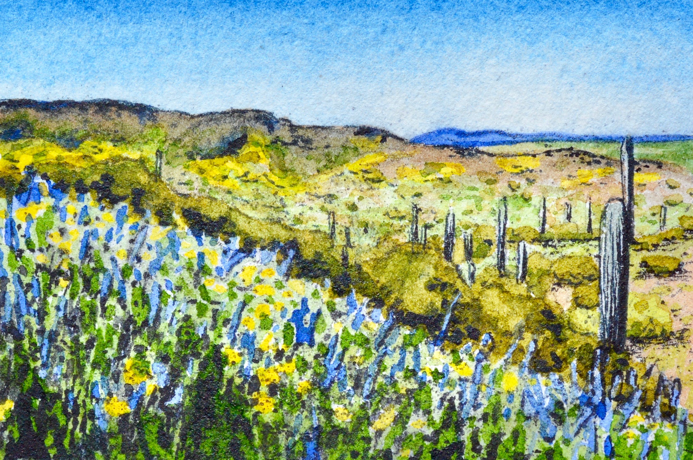 Picacho Peak State Park, Arizona: 3/6,19, 9:39:03