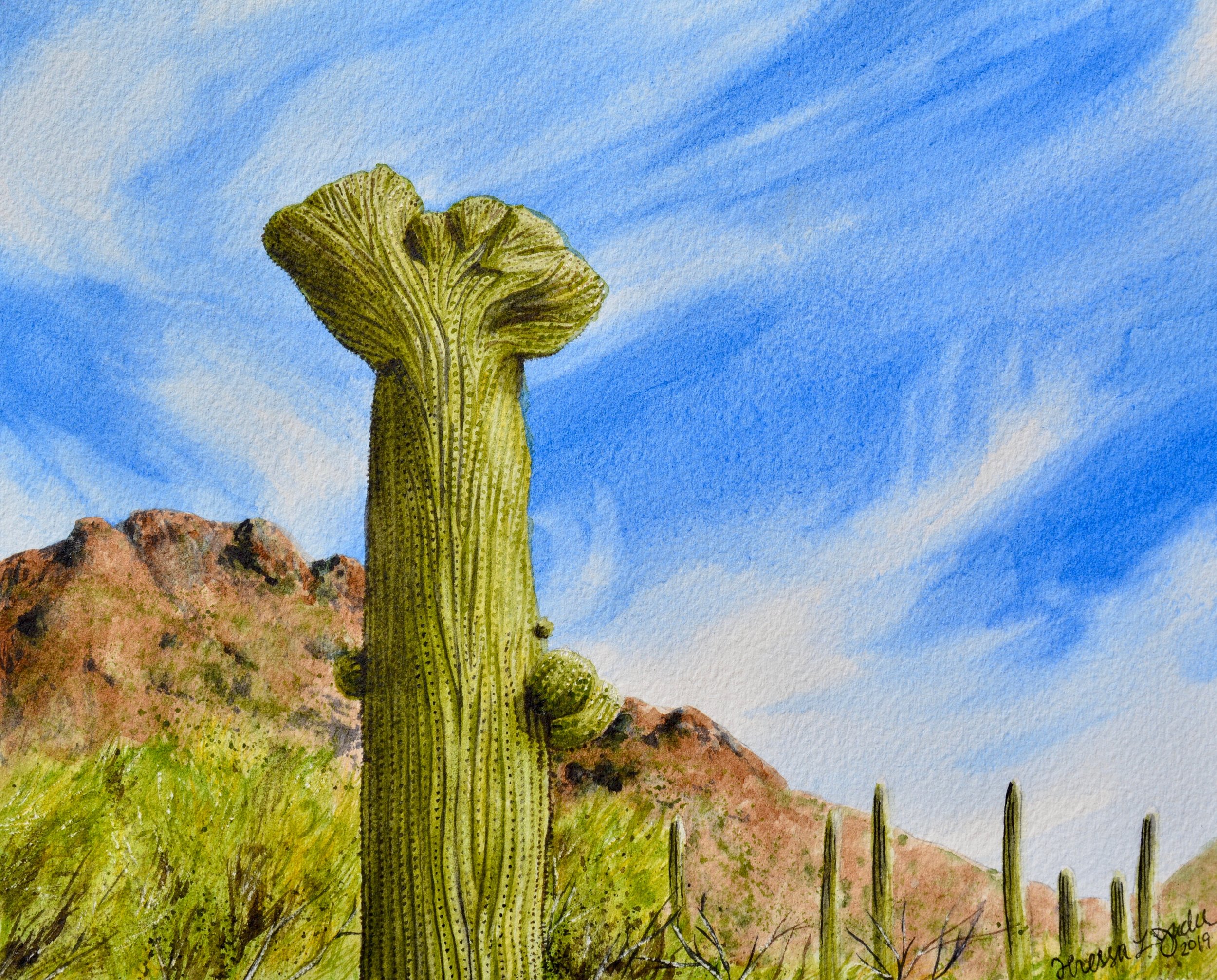 “Echo” For sale as of this blog posting 10x8”