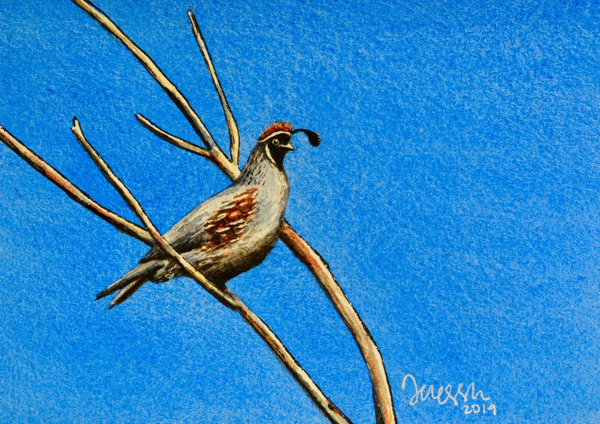 Perched Plumage