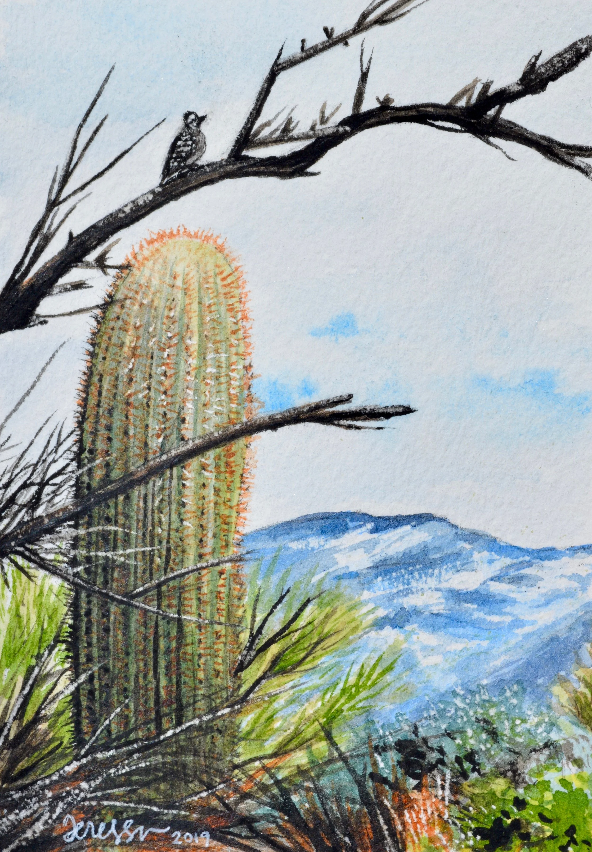 “Winter Watcher” For sale as of this blog posting 3.5x5” on watercolor paper