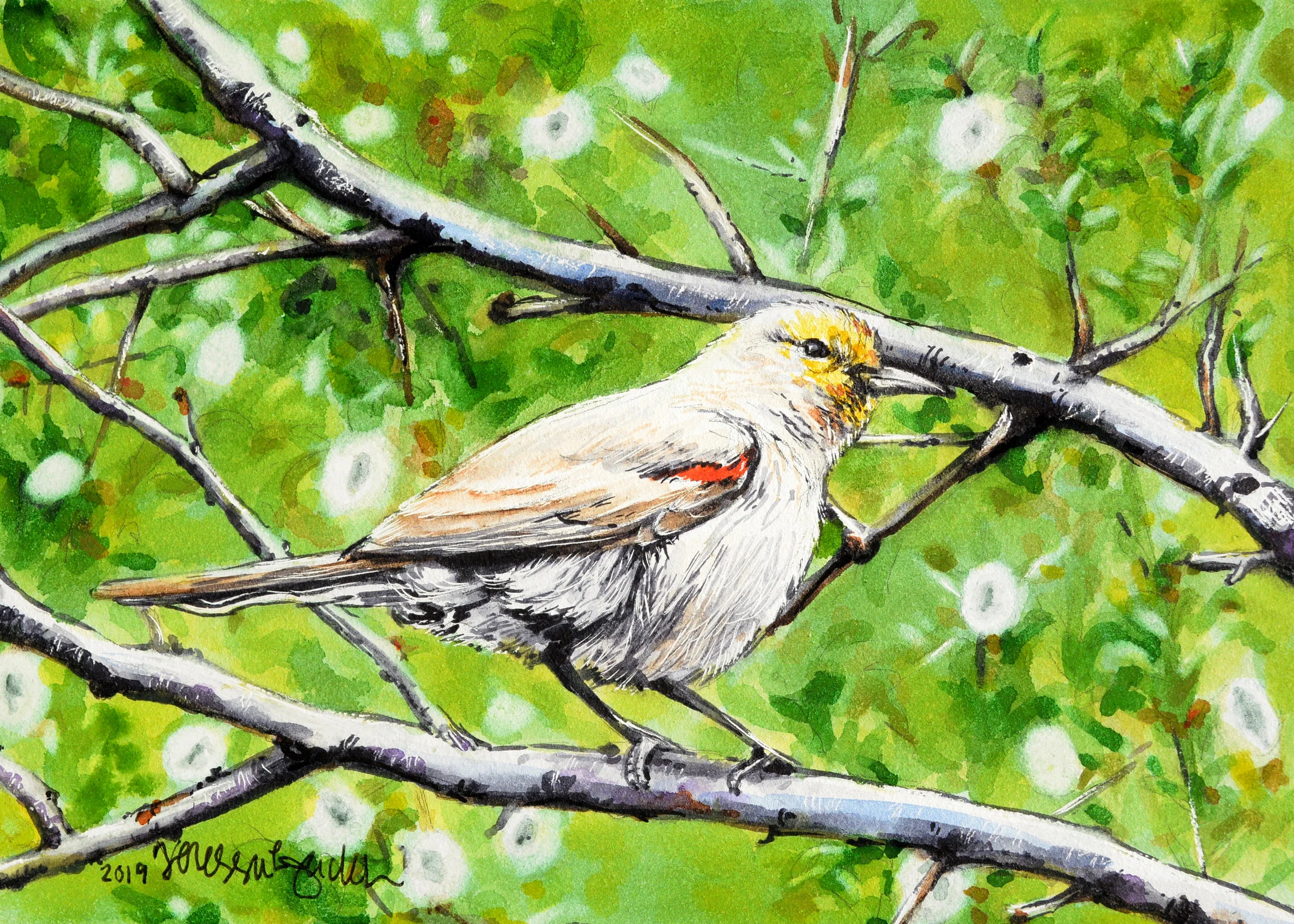 “Verdant Verdin” 5x7” on Aquabord For sale as of this blog posting - visit my online shop to purchase.