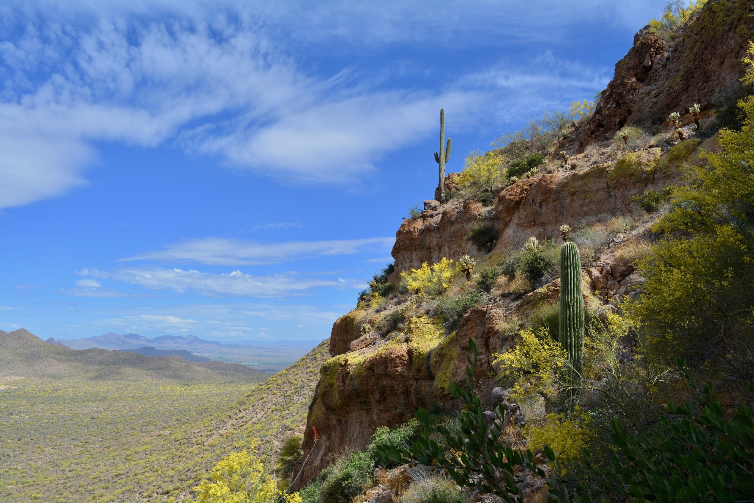 The scenery from the Wind Cave Trail at Usery Mountain Regional Park
