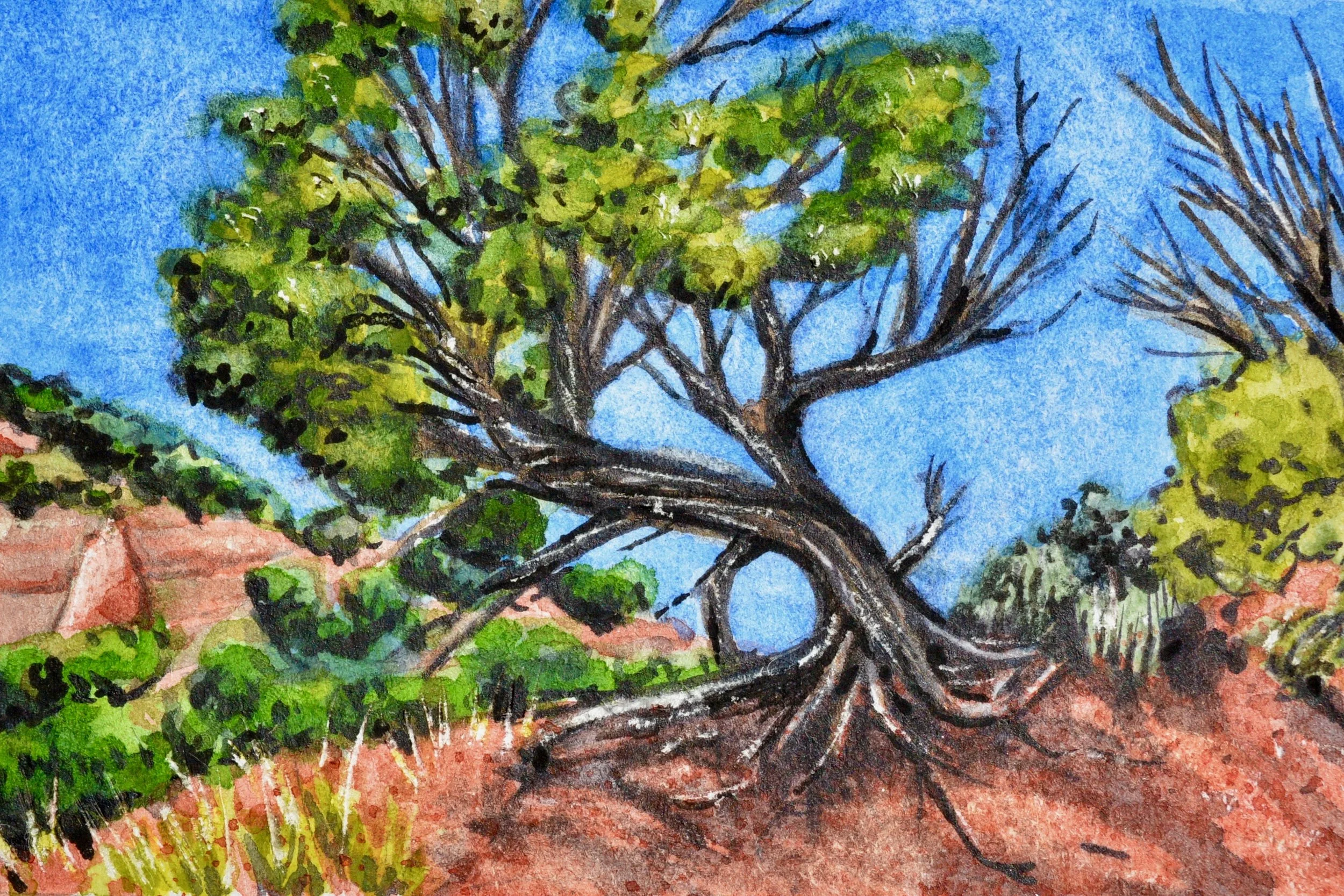 Red Rock Park, Gallup, New Mexico: 6/11/19, 14:59:23