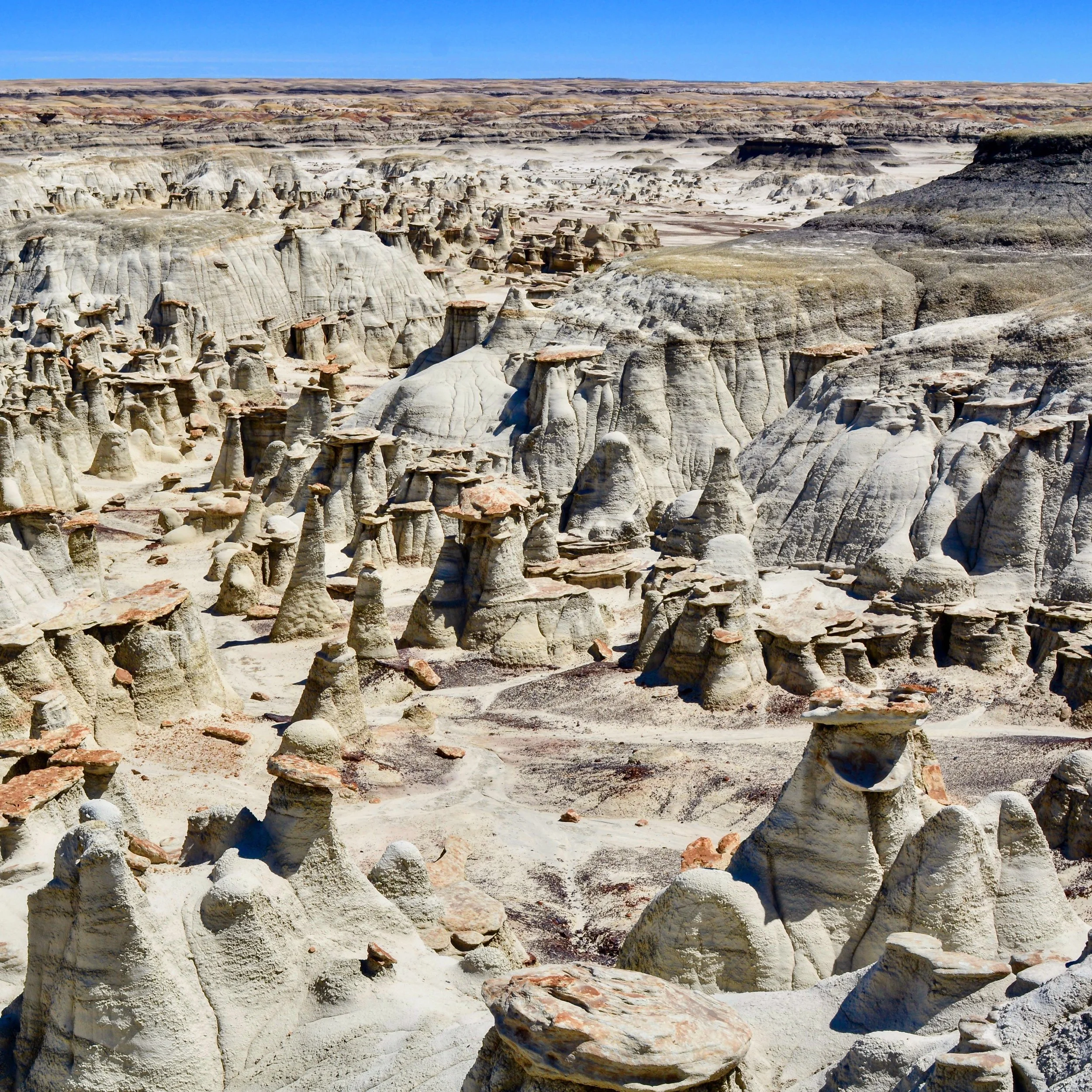 Bisti/De-Na-Zin Wilderness,