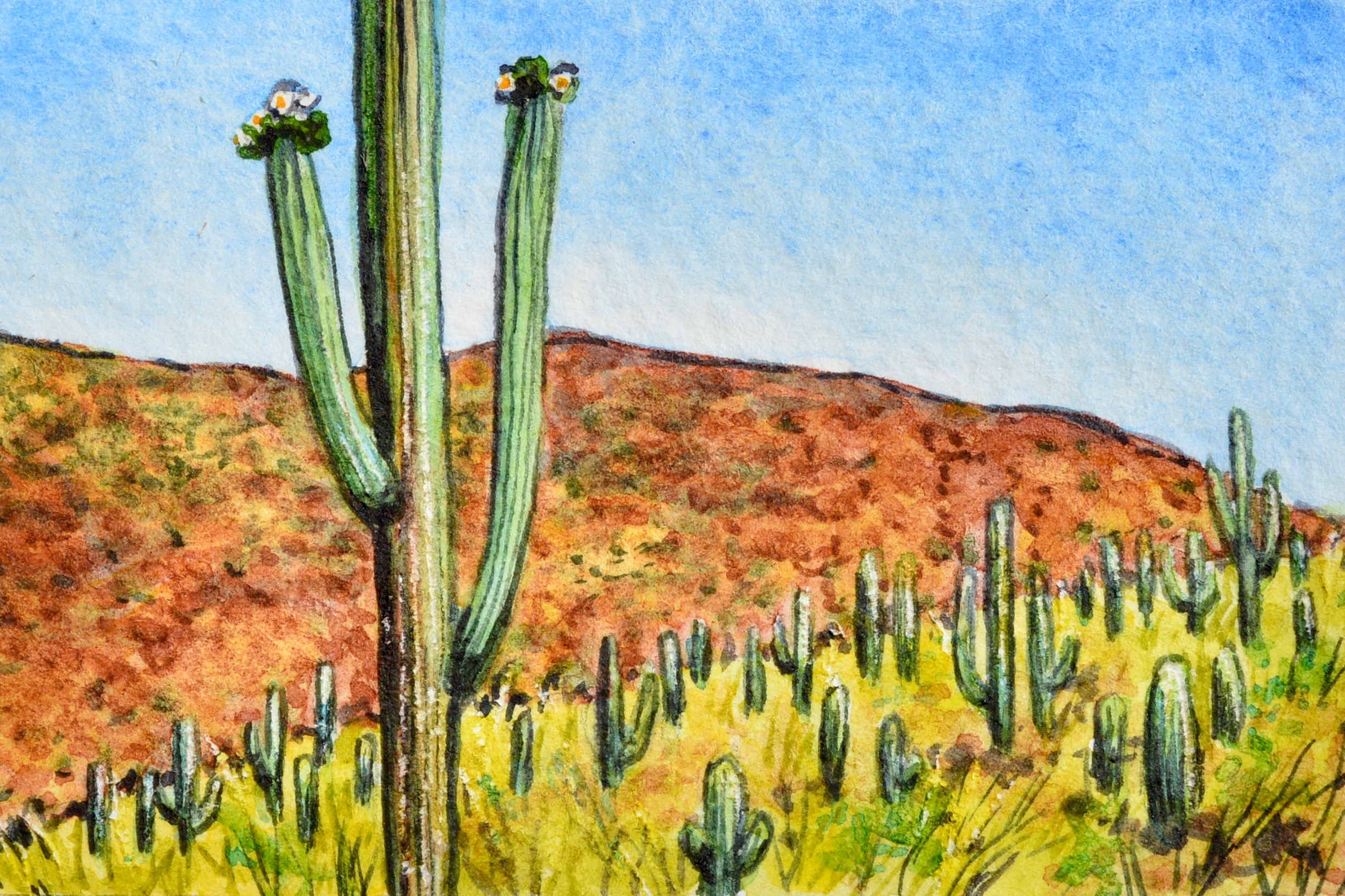 “Mesa, Arizona: 5/12/19, 10:06:30” 3x2” watercolor on 140 lb. watercolor paper For sale as of this blog posting - visit my online shop to purchase.