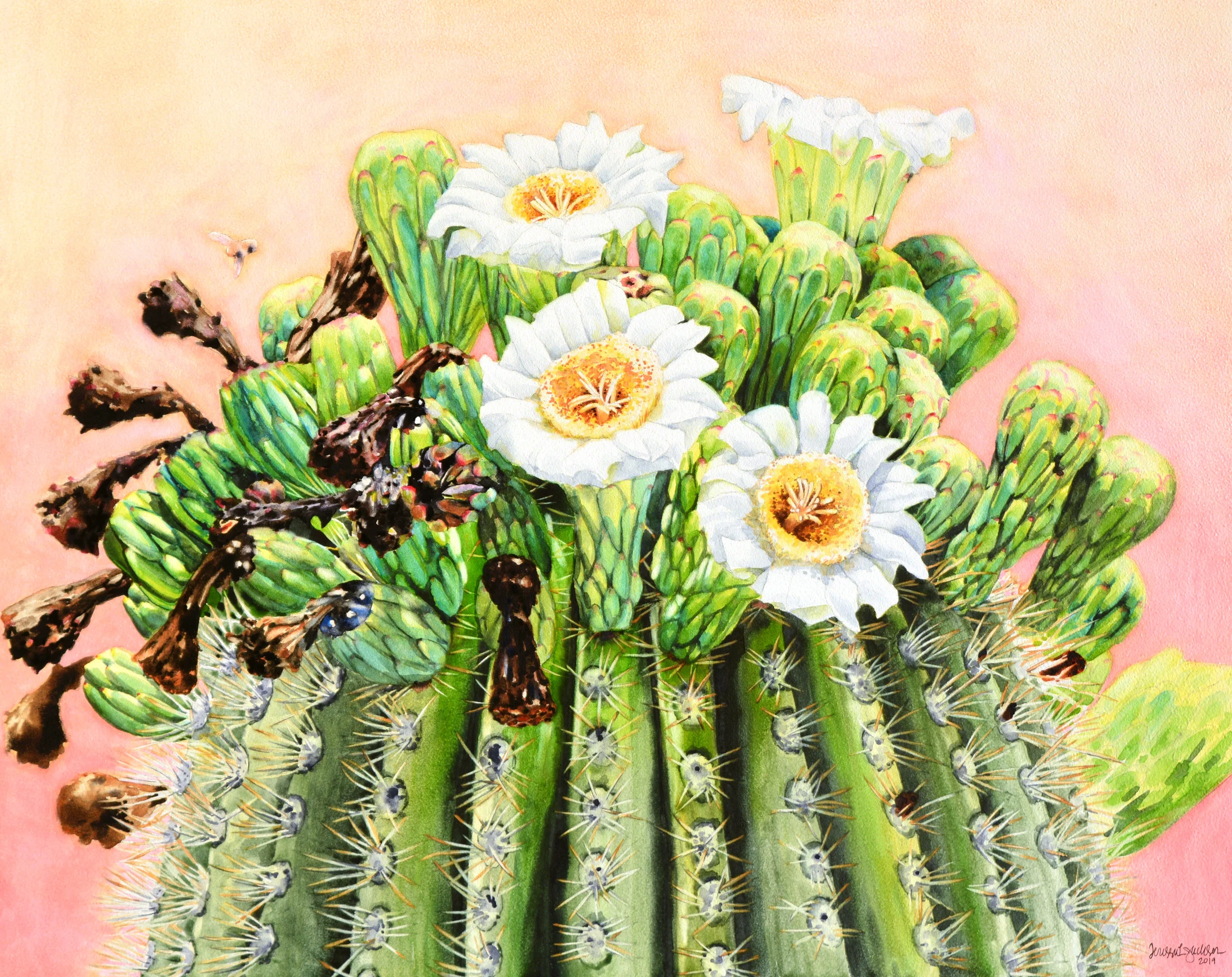 “La Corona” 20x16” watercolor on 2” cradled Aquabord Available for purchase at Southern Arizona Watercolor Guild from 9/5-10/6/19.