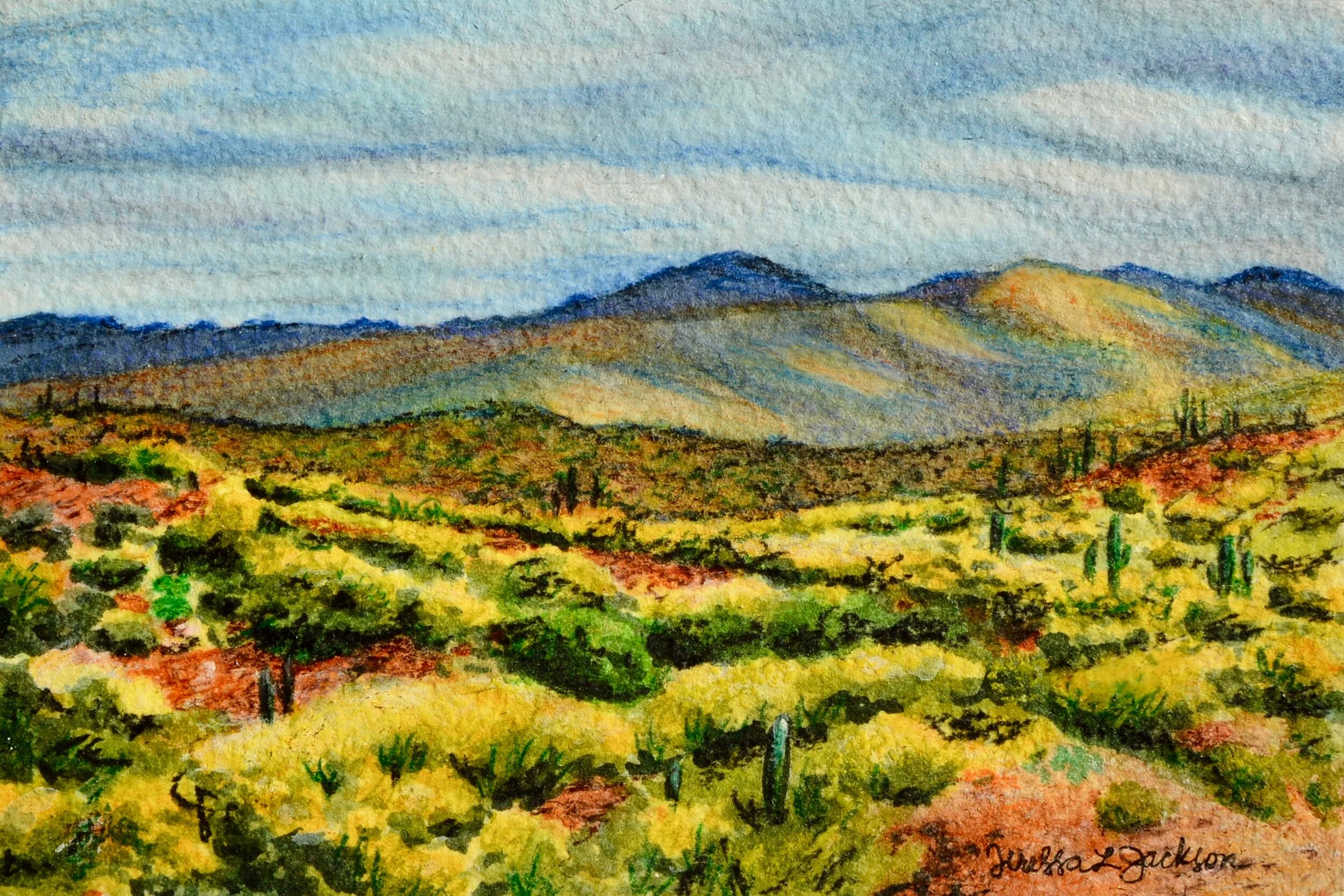 “Pollinator Paradise” 6x4” watercolor on 300 lb. watercolor paper For sale as of this blog posting - visit my online shop to purchase.