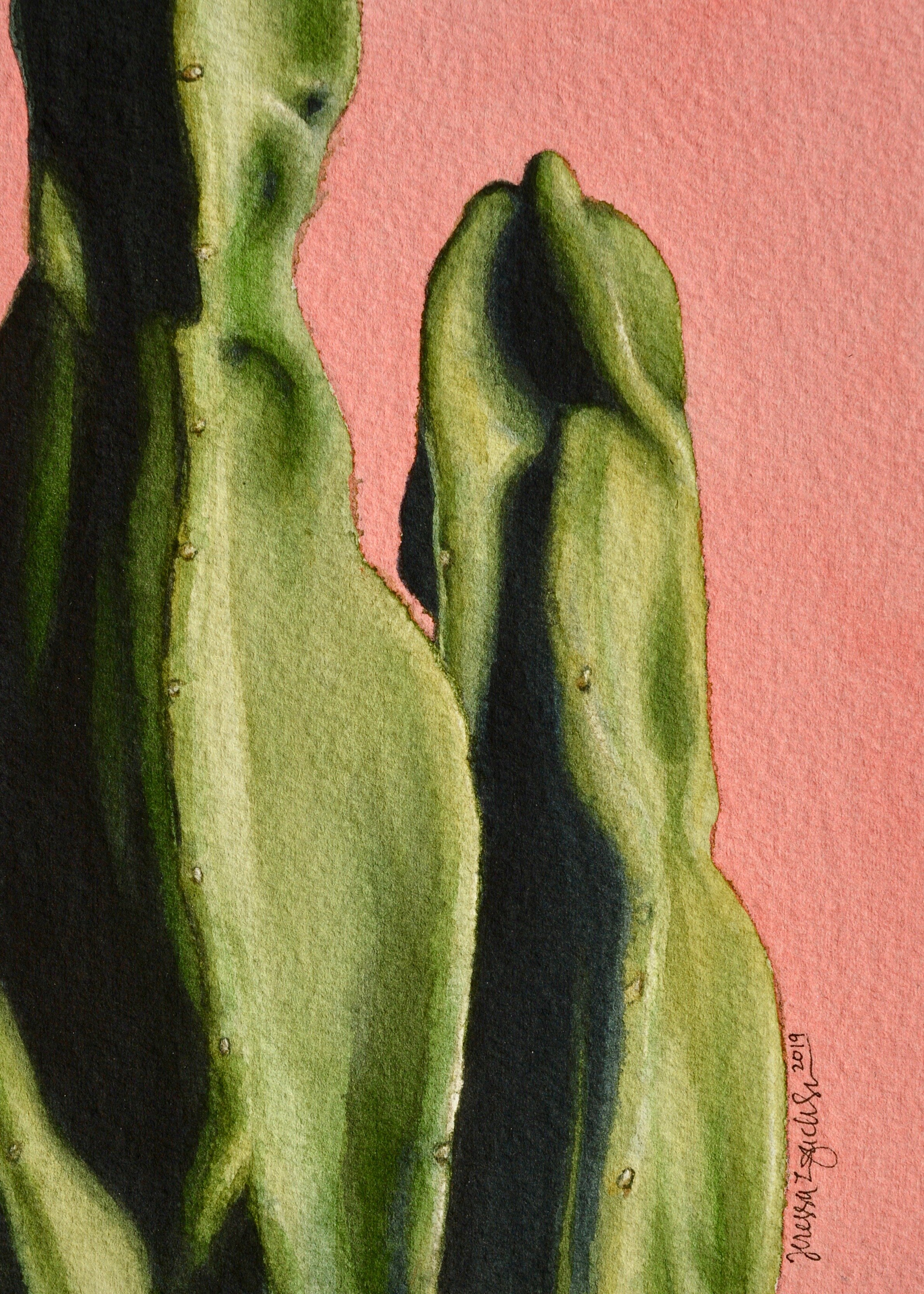 “Monstrosus” 5x7” watercolor on Arches 300 lb. watercolor paper For sale as of this blog posting - visit my online shop to purchase.