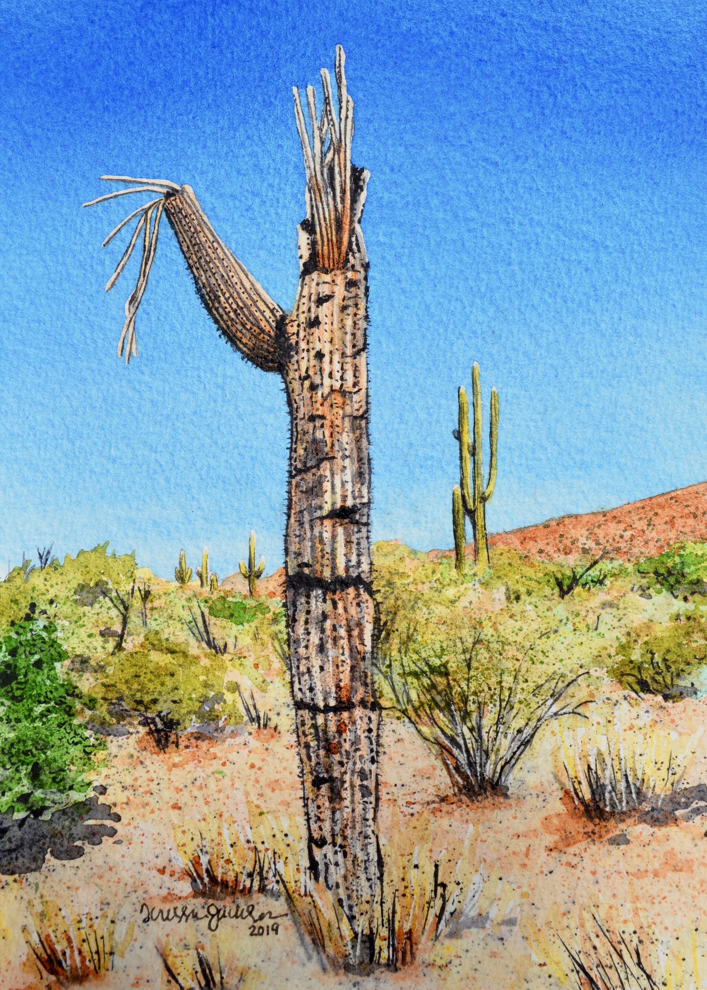 “Adios Amigos” 5x7”, Watercolor on 300 lb. Arches cold press watercolor paper SOLD