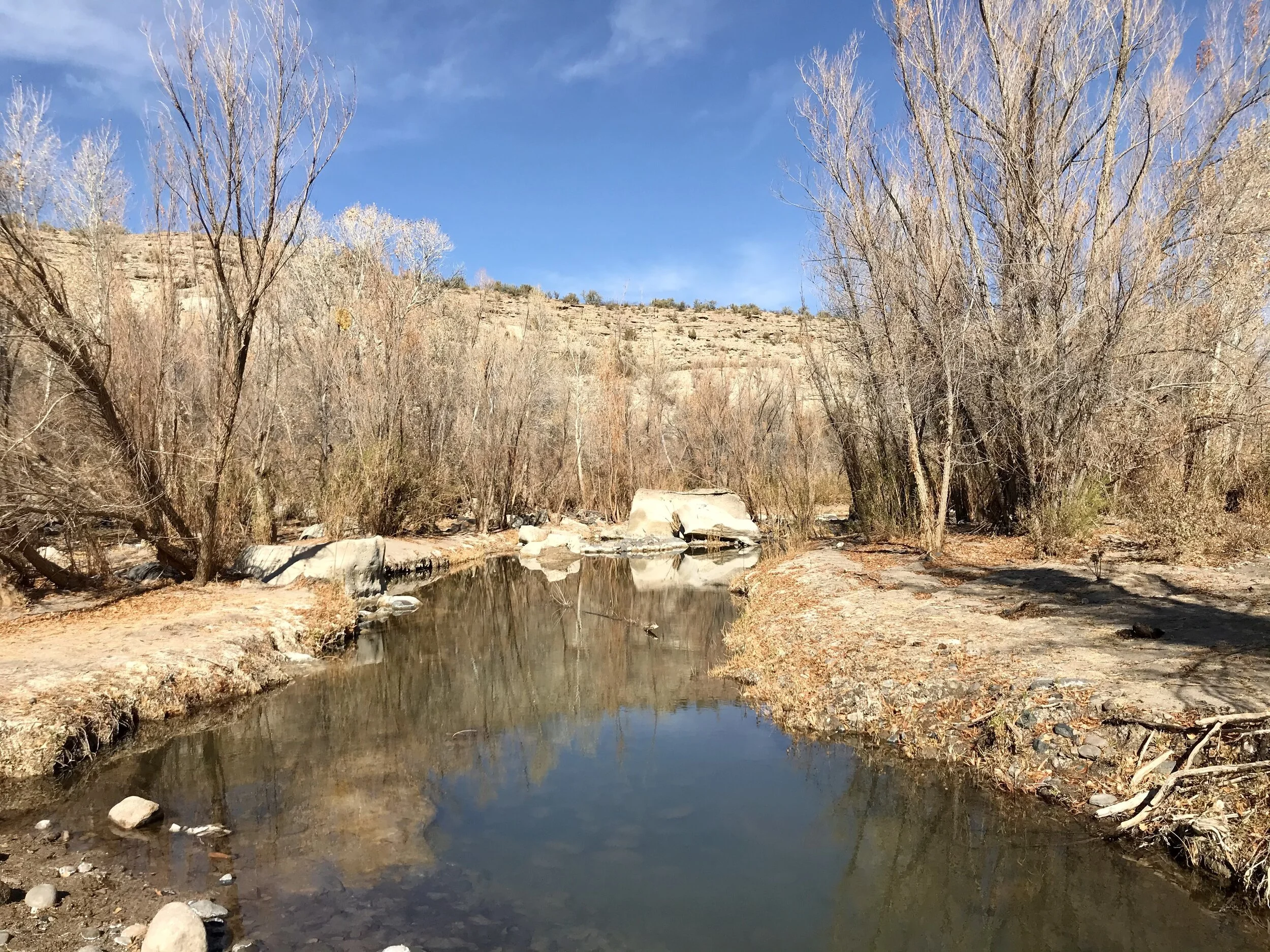 rockhounding — Adventure Blog — Teressa Jackson