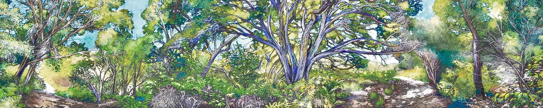 Into the Trees