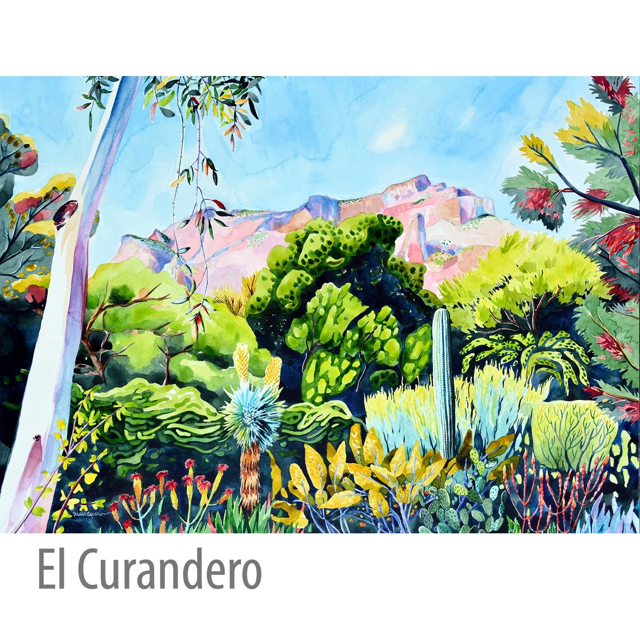 El_Curandero.jpg