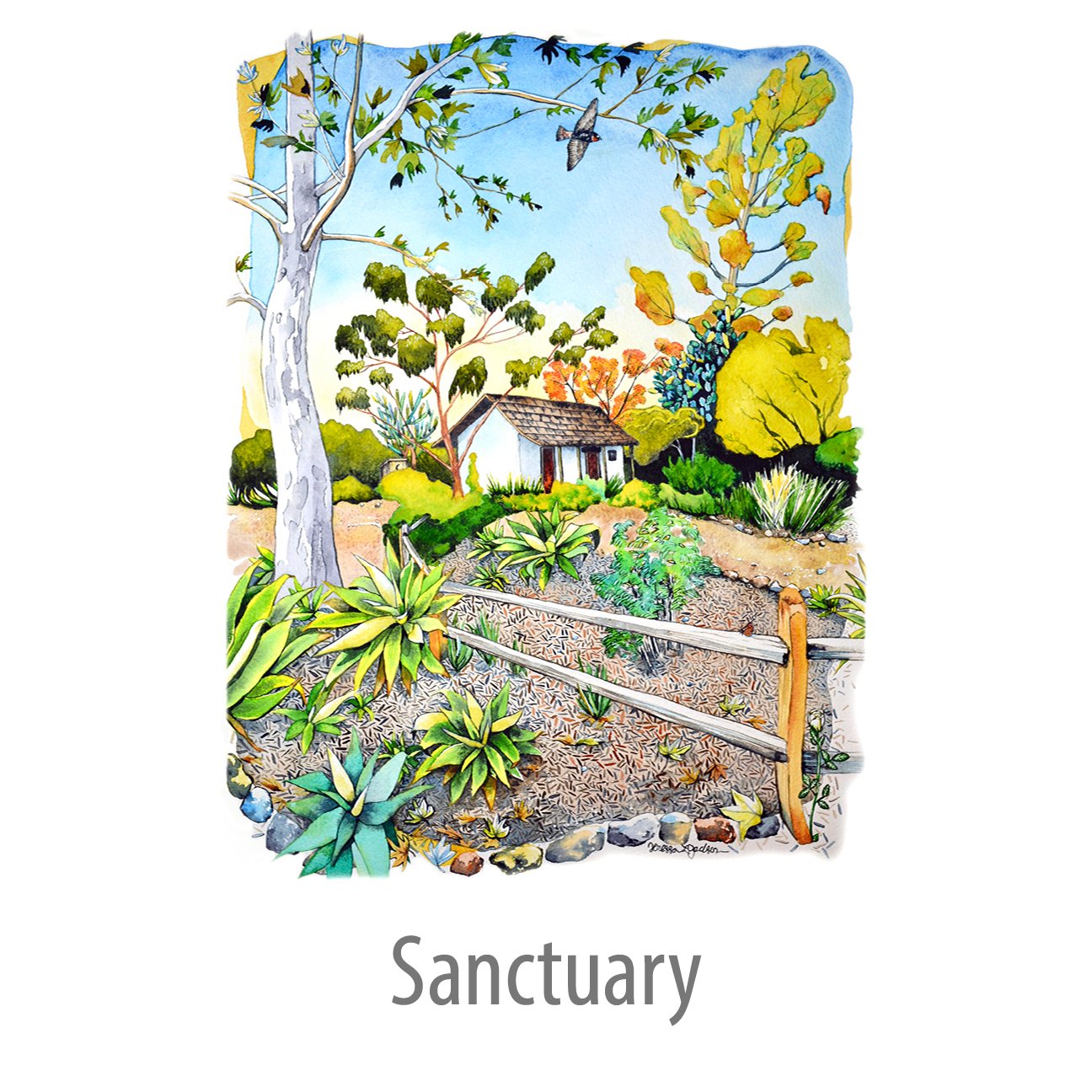 Sanctuary.jpg