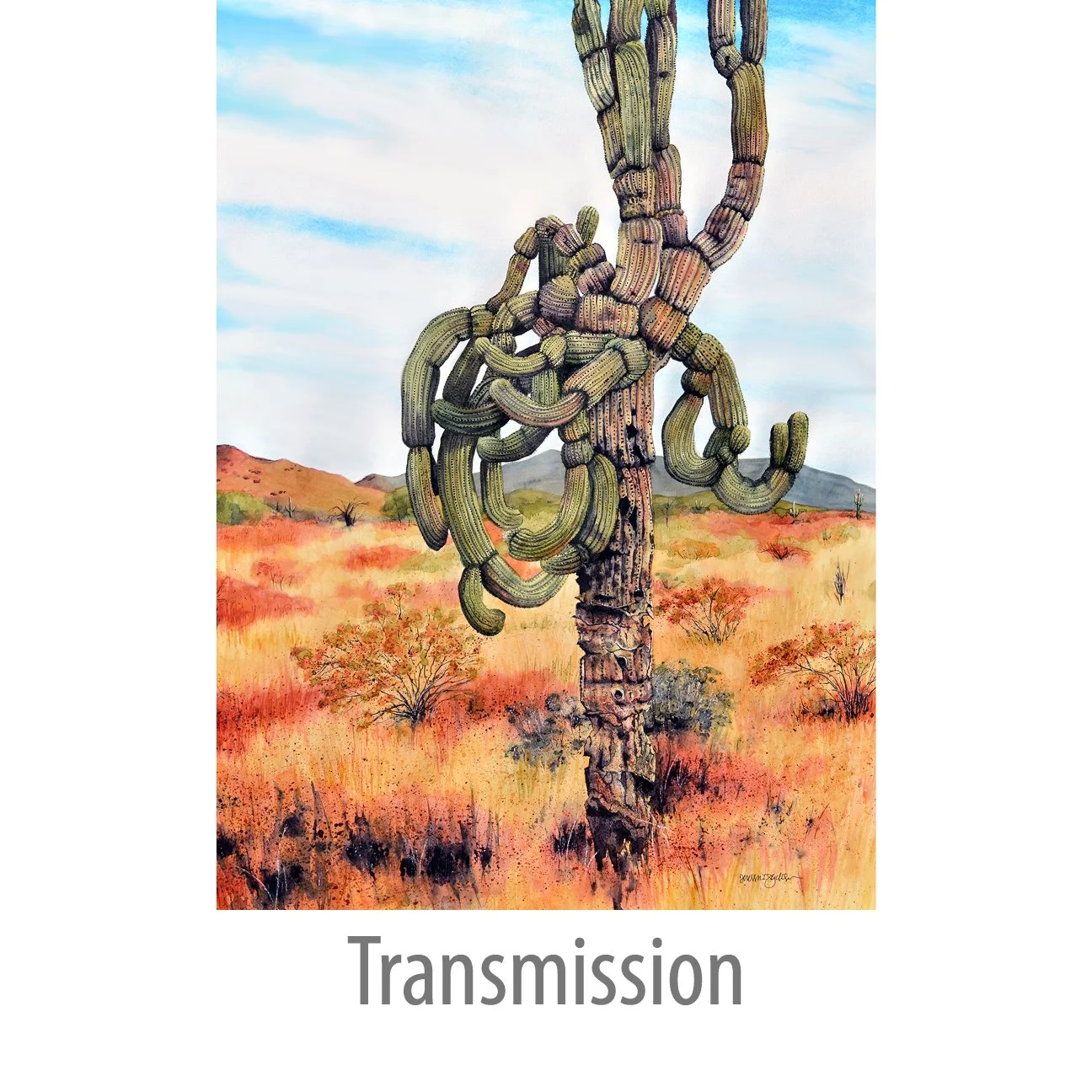 Transmission.jpg