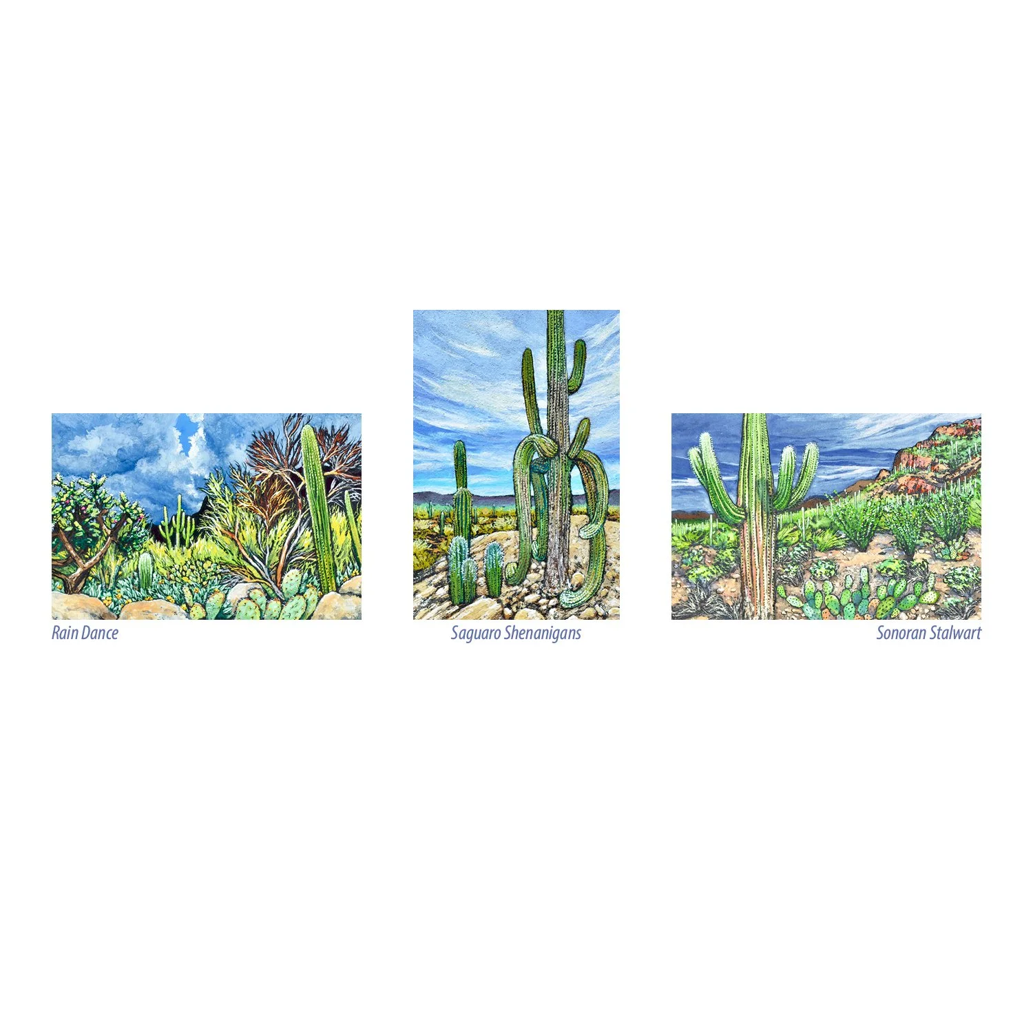 2027_Tucson_Calendar10x10-New22.jpg