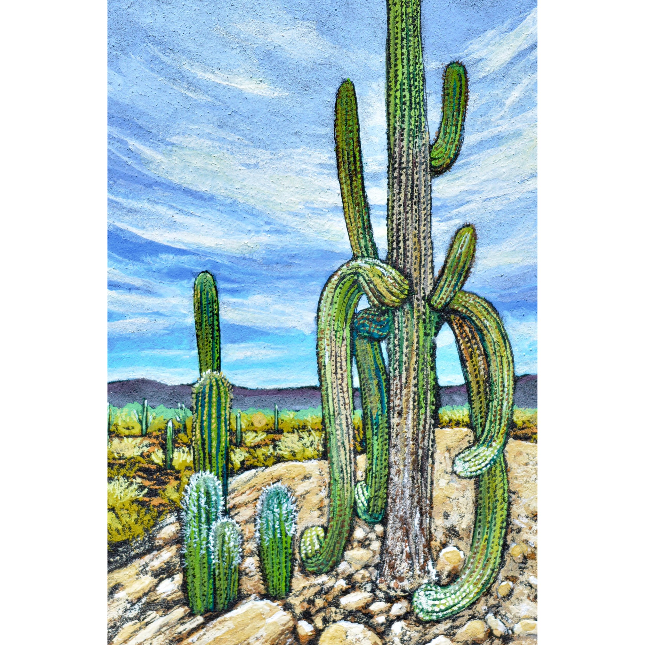 SaguaroShenanigans2.jpg