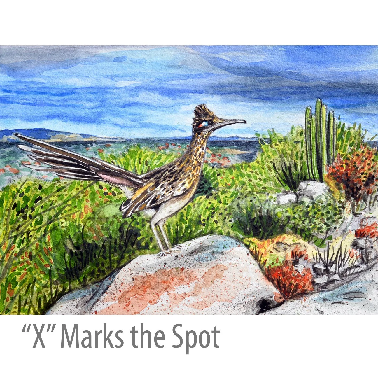 X_Marks_the_Spot.jpg