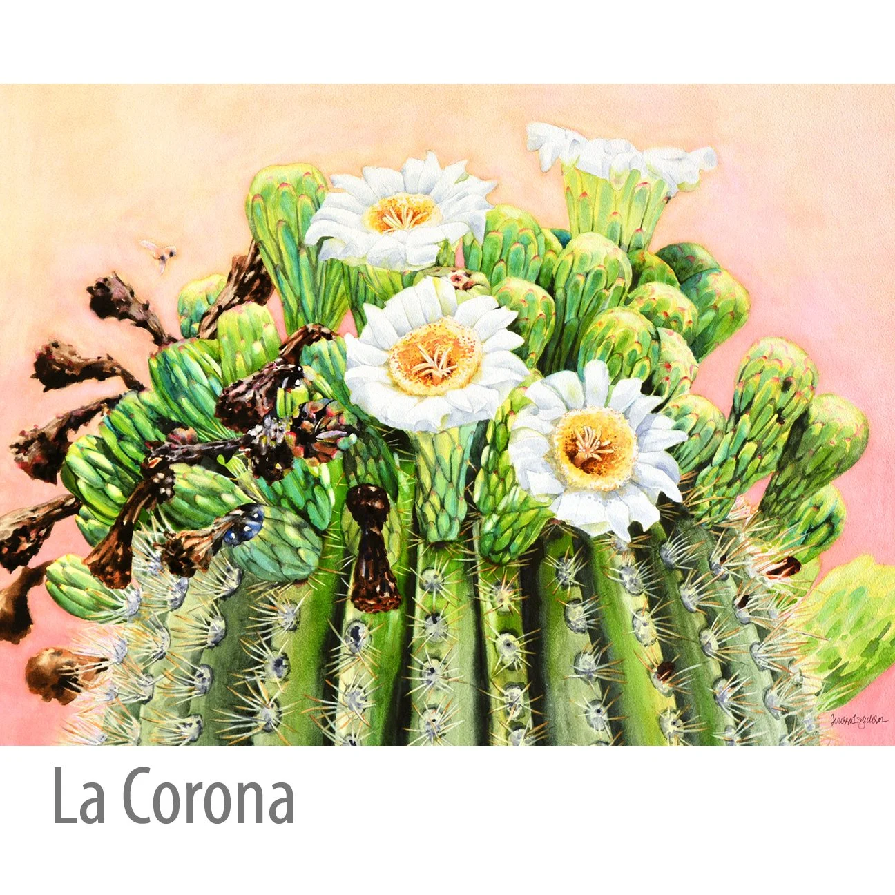 La_Corona.jpg