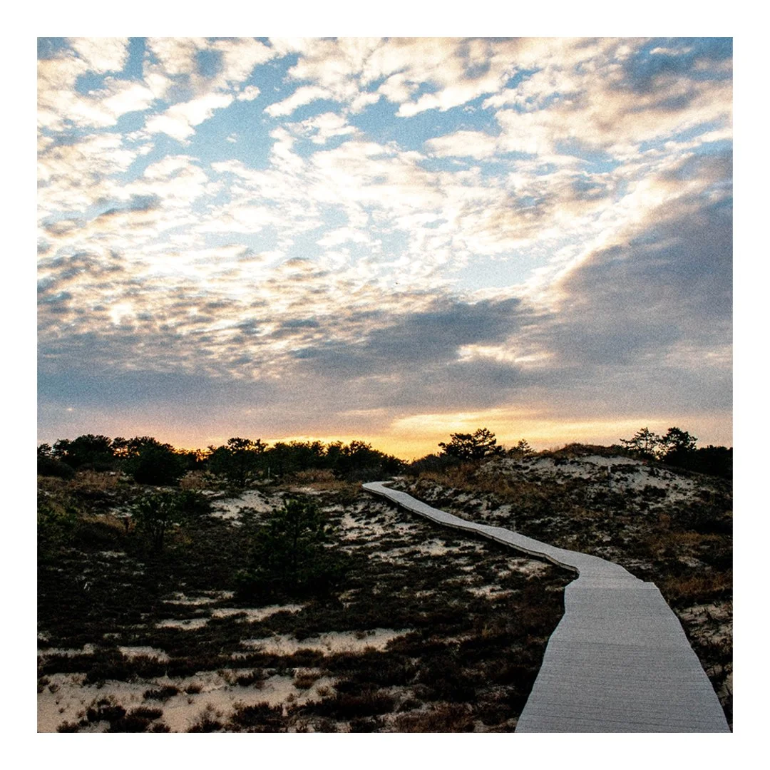 TTSR_Cover.jpg