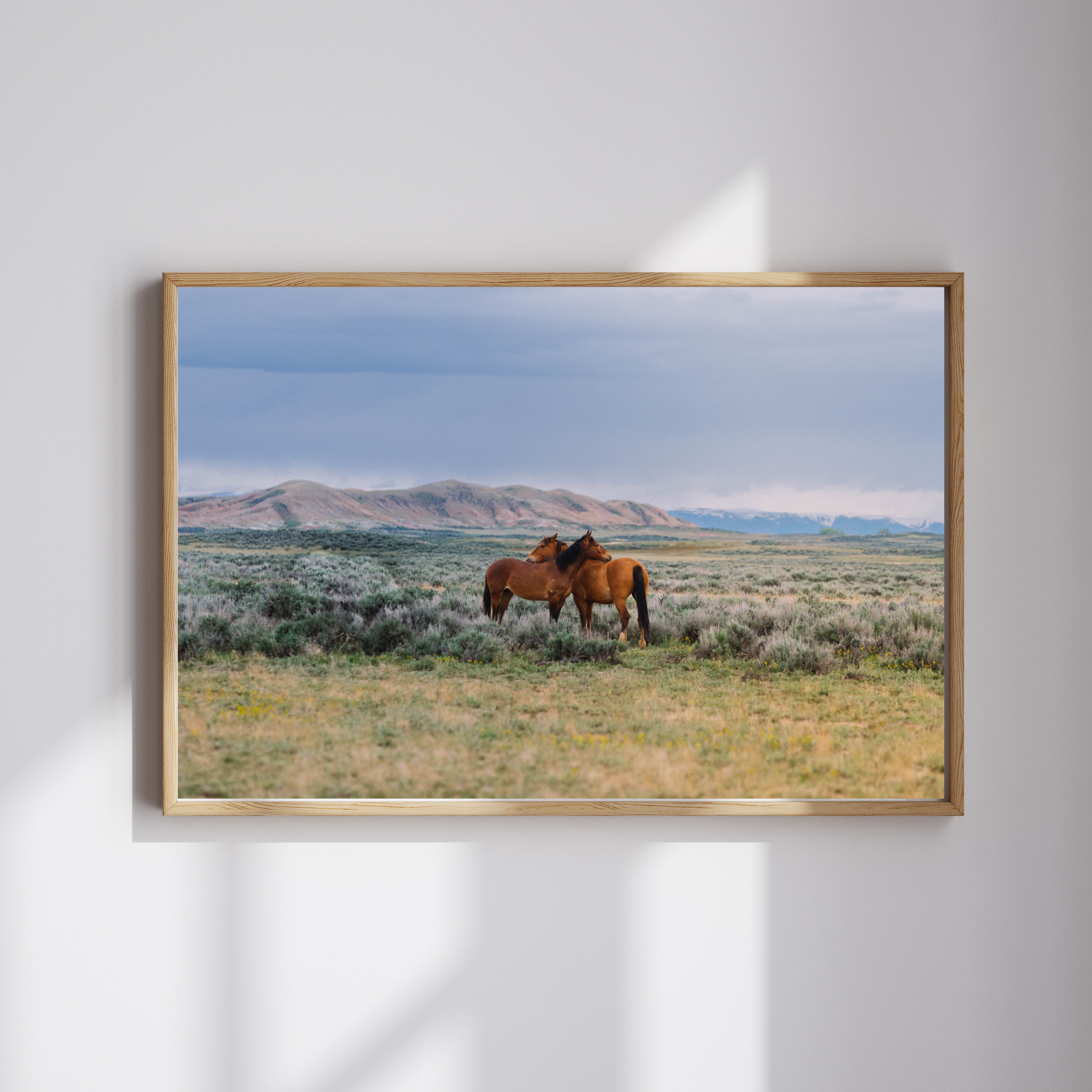 Untitled design-2.png