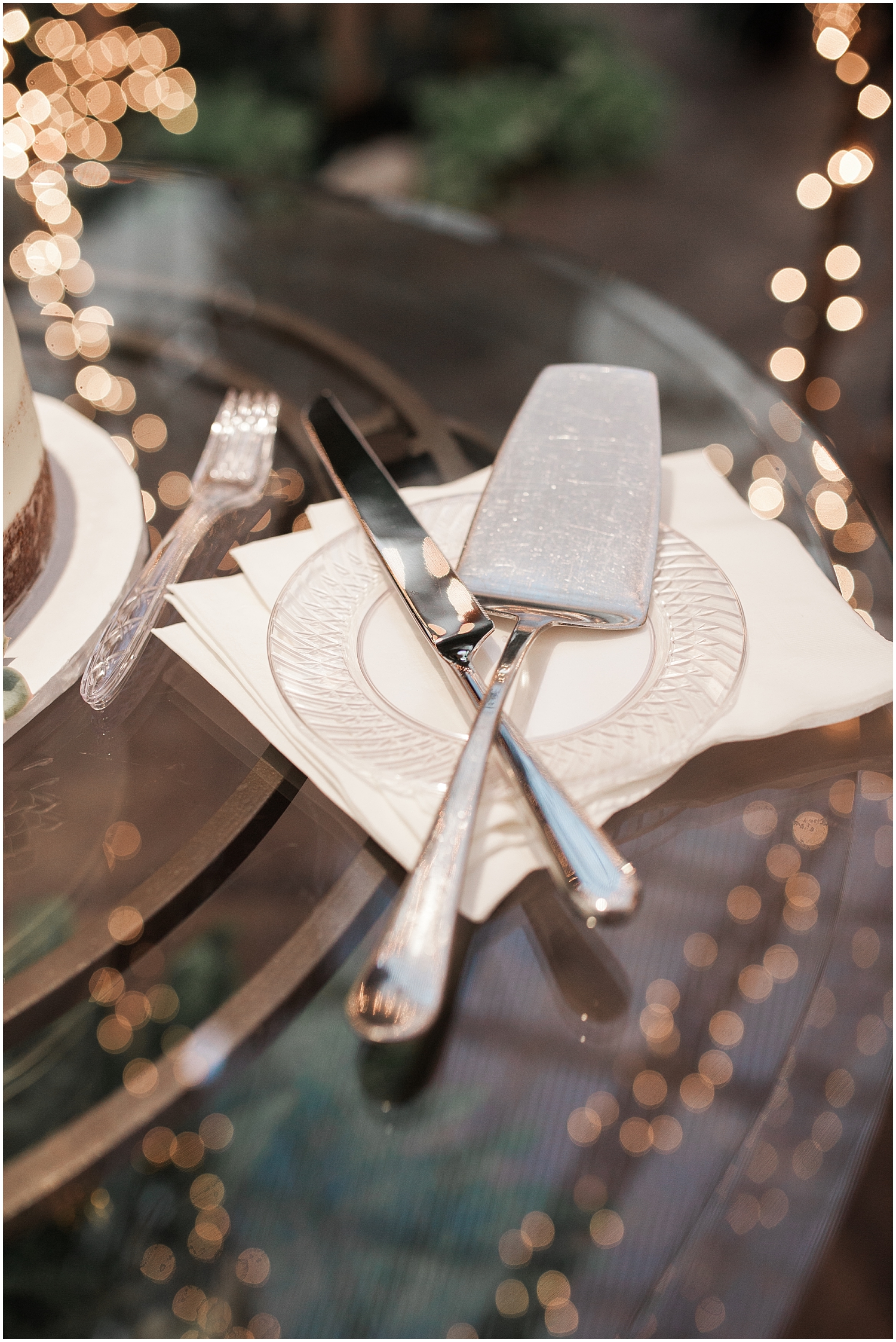 Rachel Reyes Photography-Utah Wedding Photographer-The Villa in Cedar Hills_0096.jpg